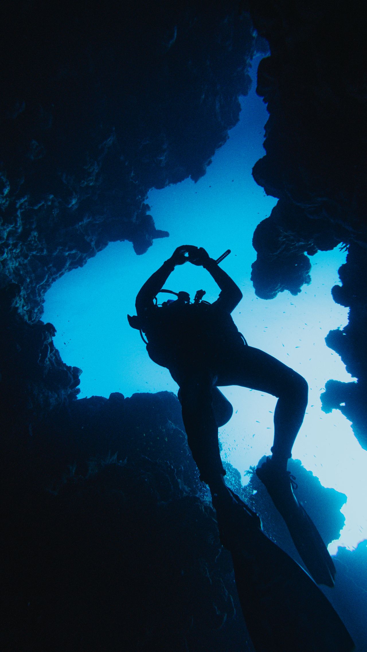 The Great Blue Hole