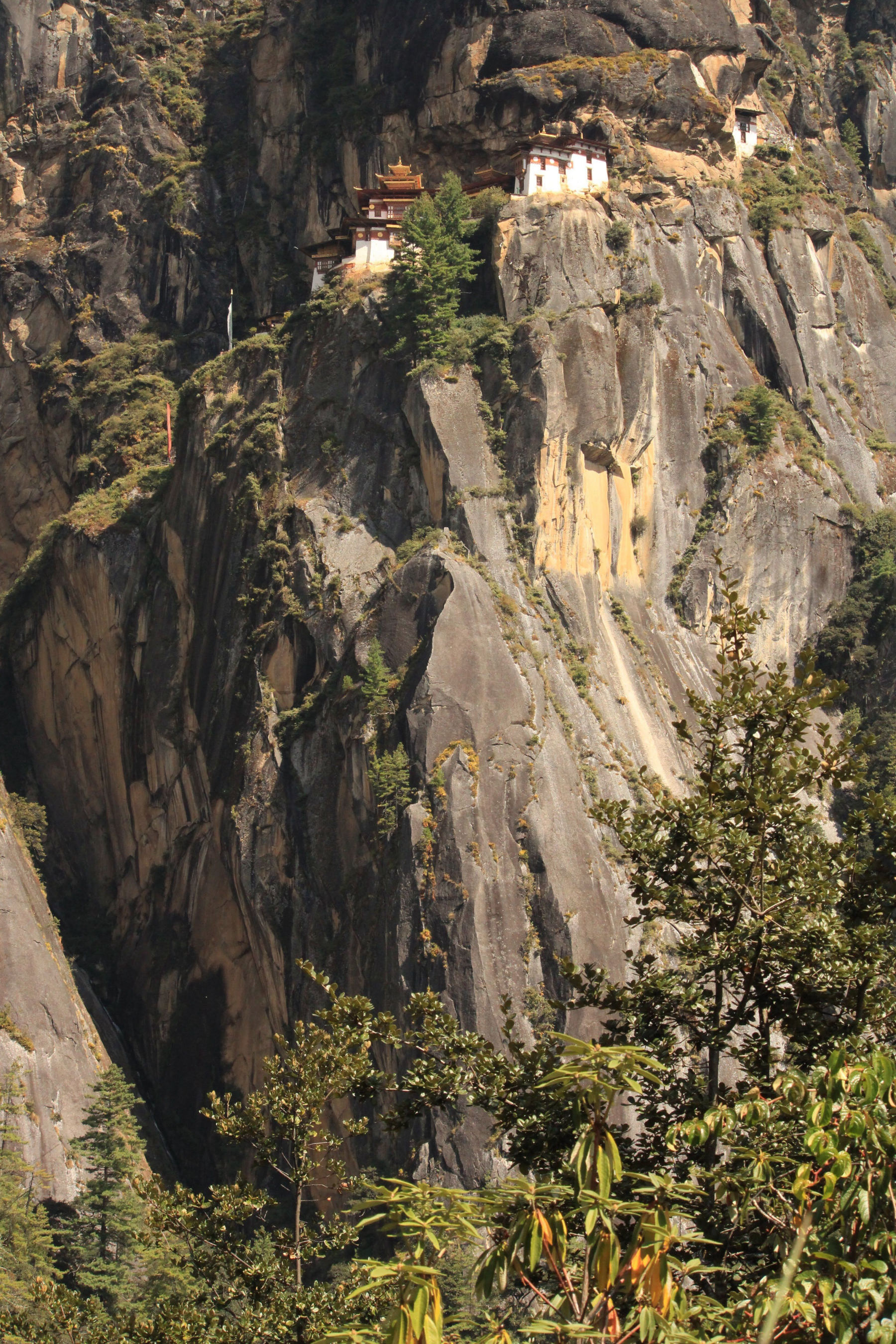 Paro