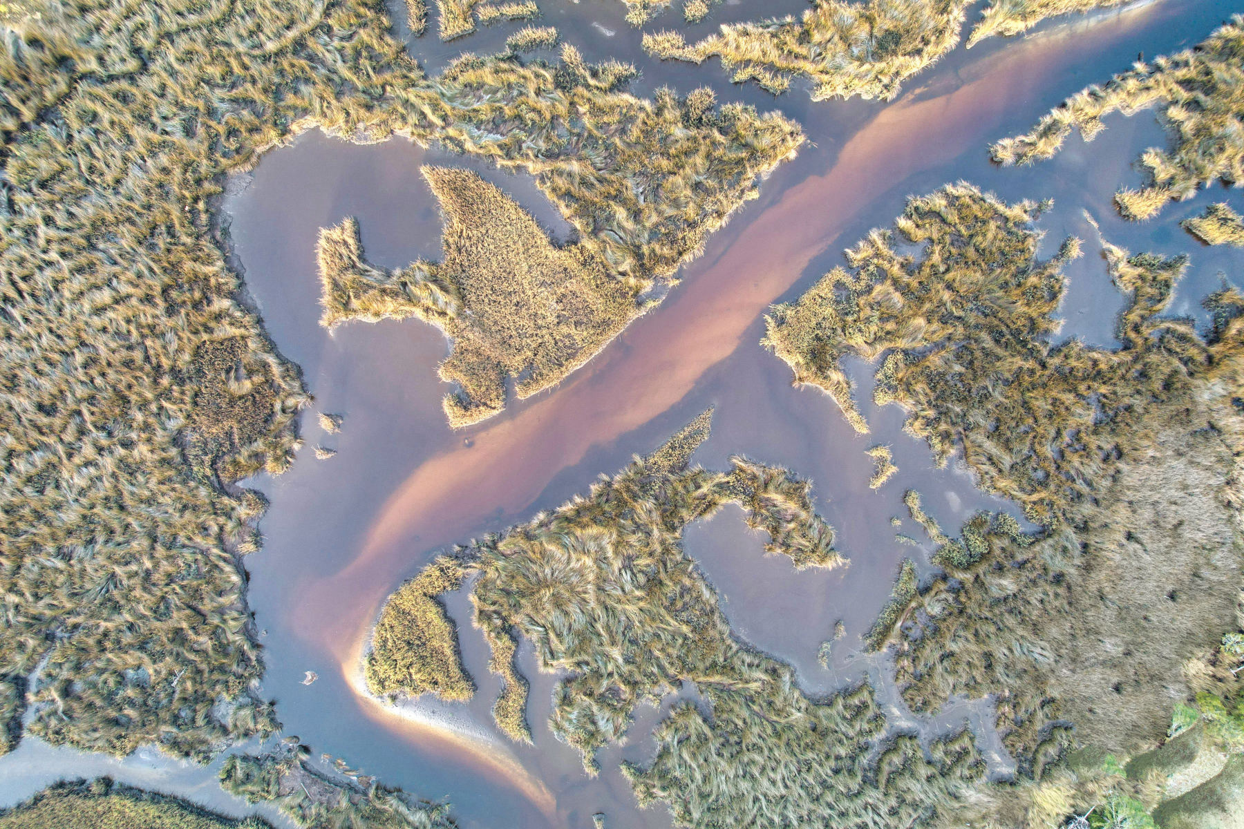 The Okavango Delta