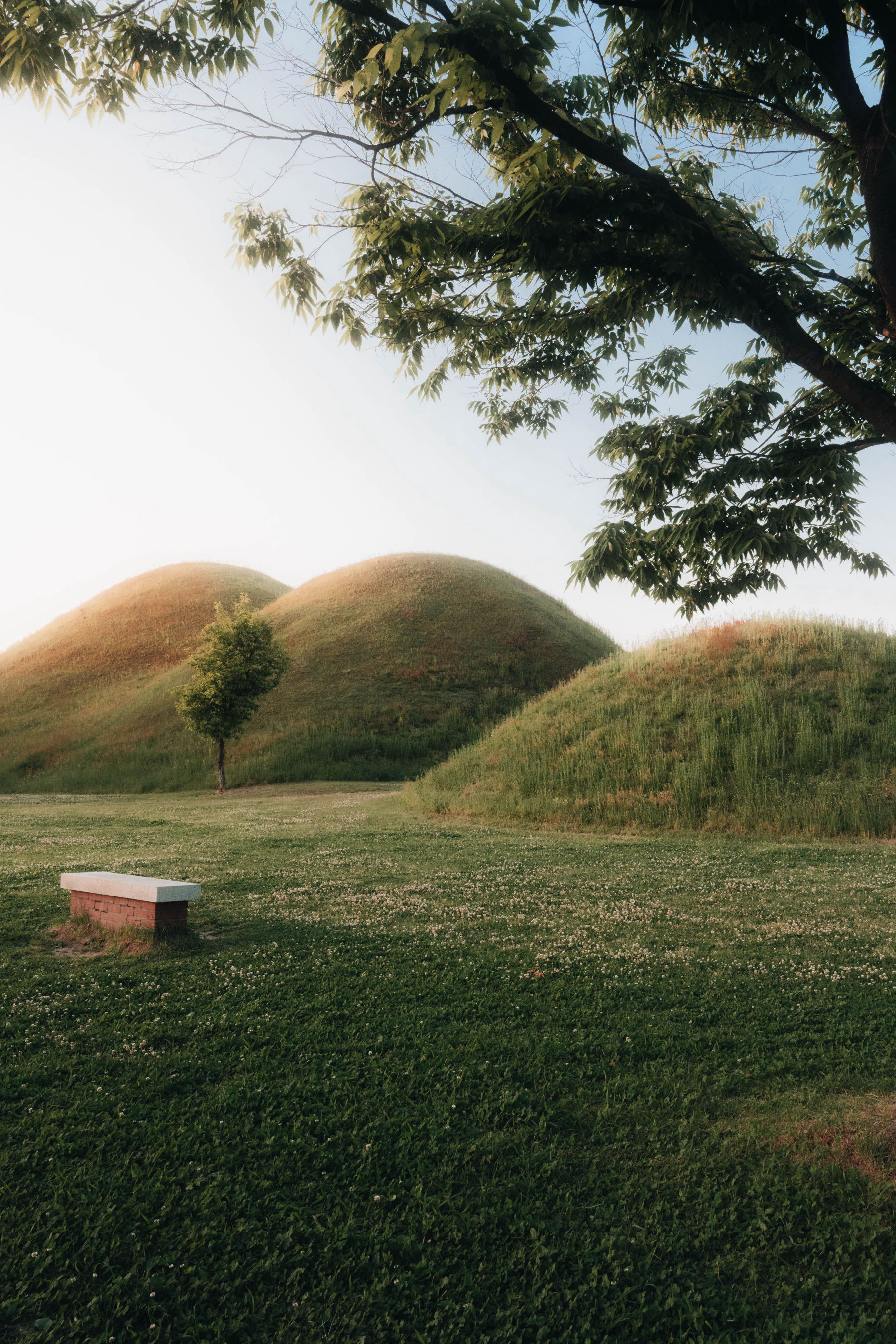Les tumuli de Gyeongju