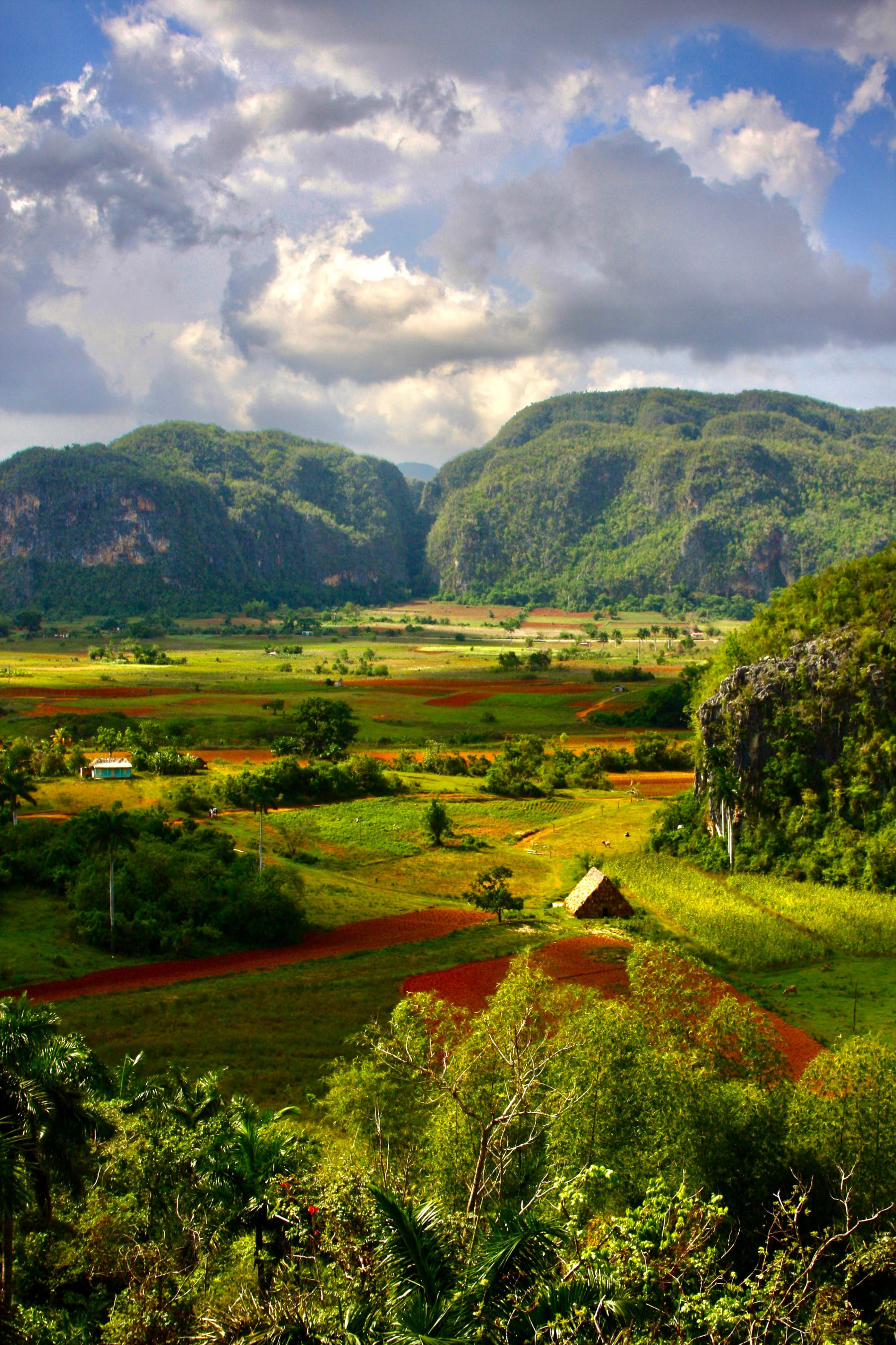 Viñales