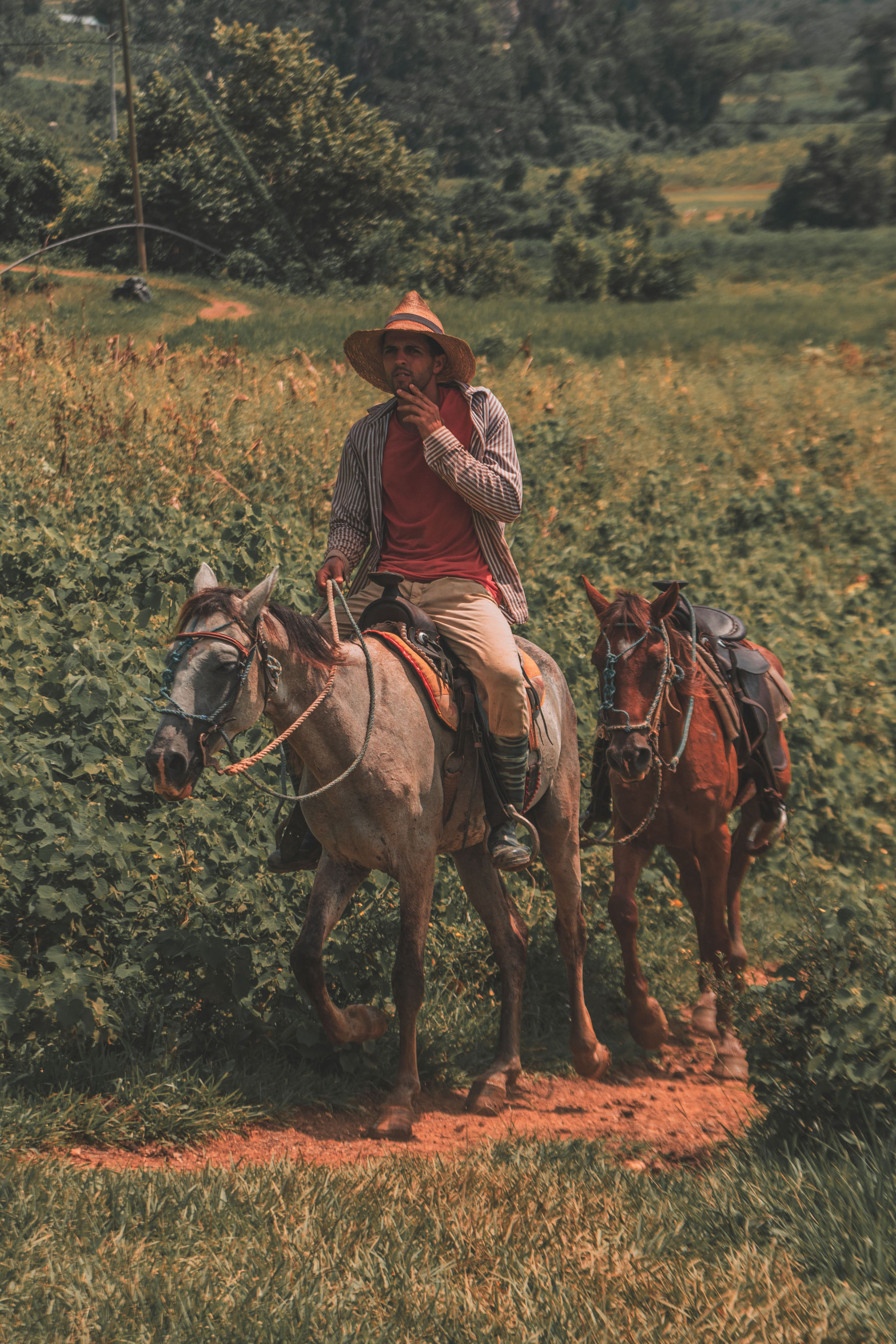 The Viñales valley on horseback