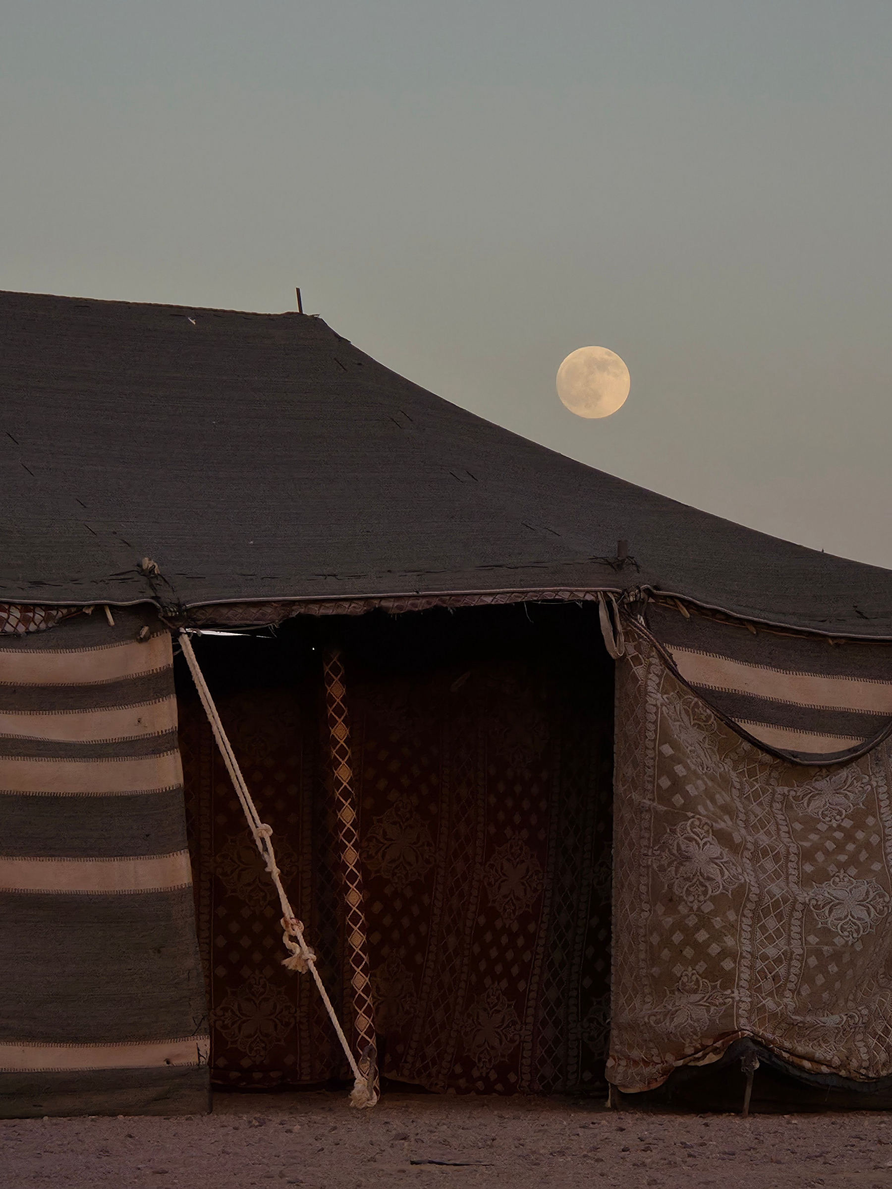 Une nuit dans le désert