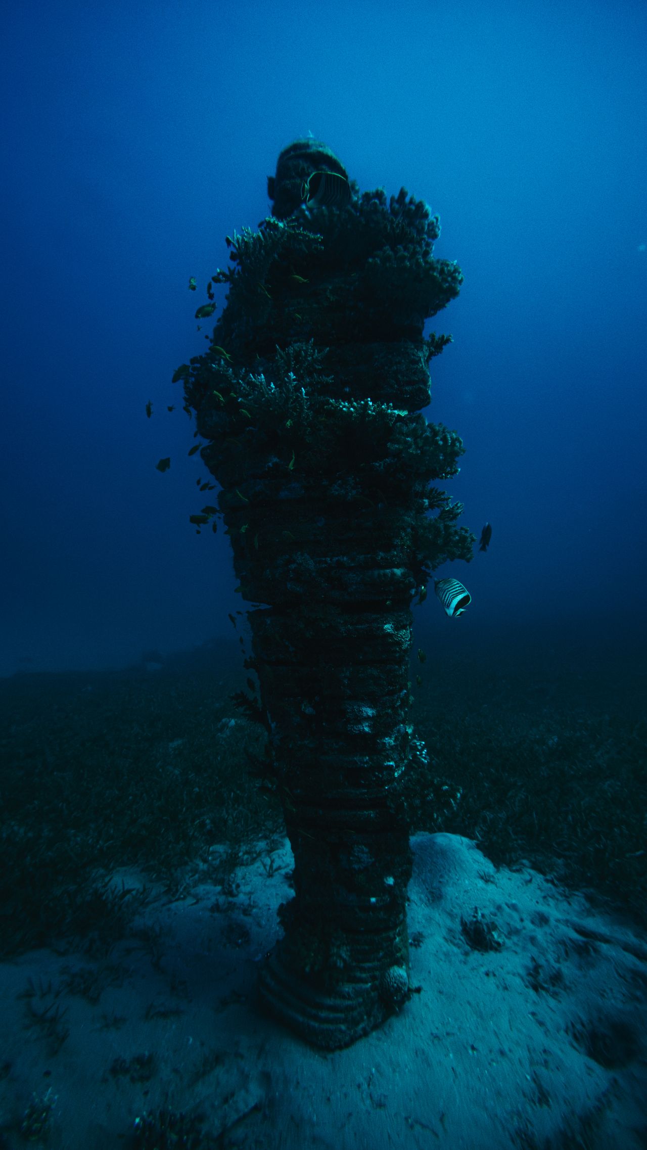 El parque de esculturas submarinas