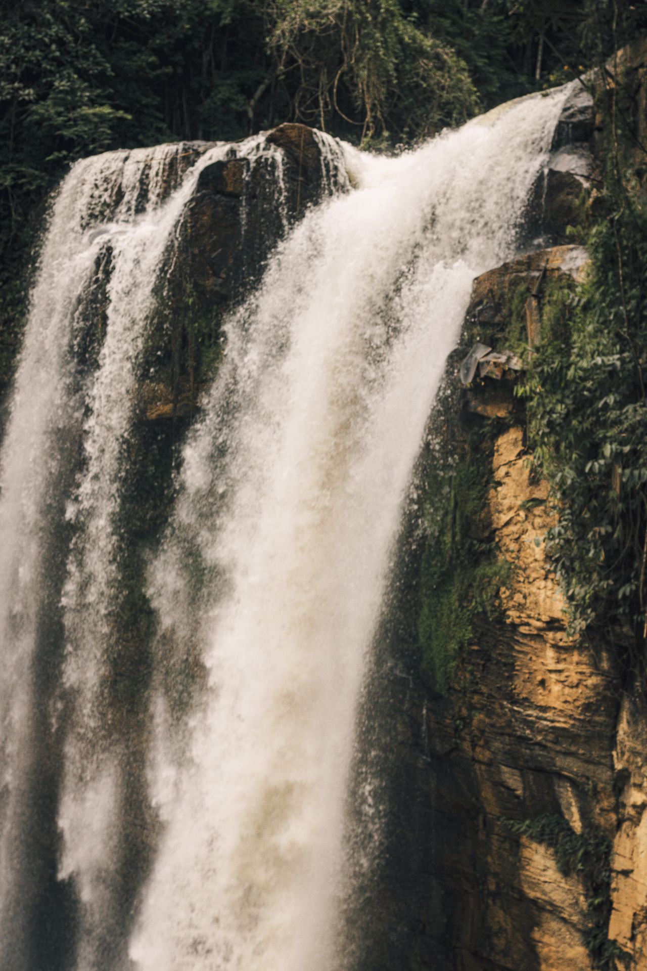 Les chutes de Kaieteur