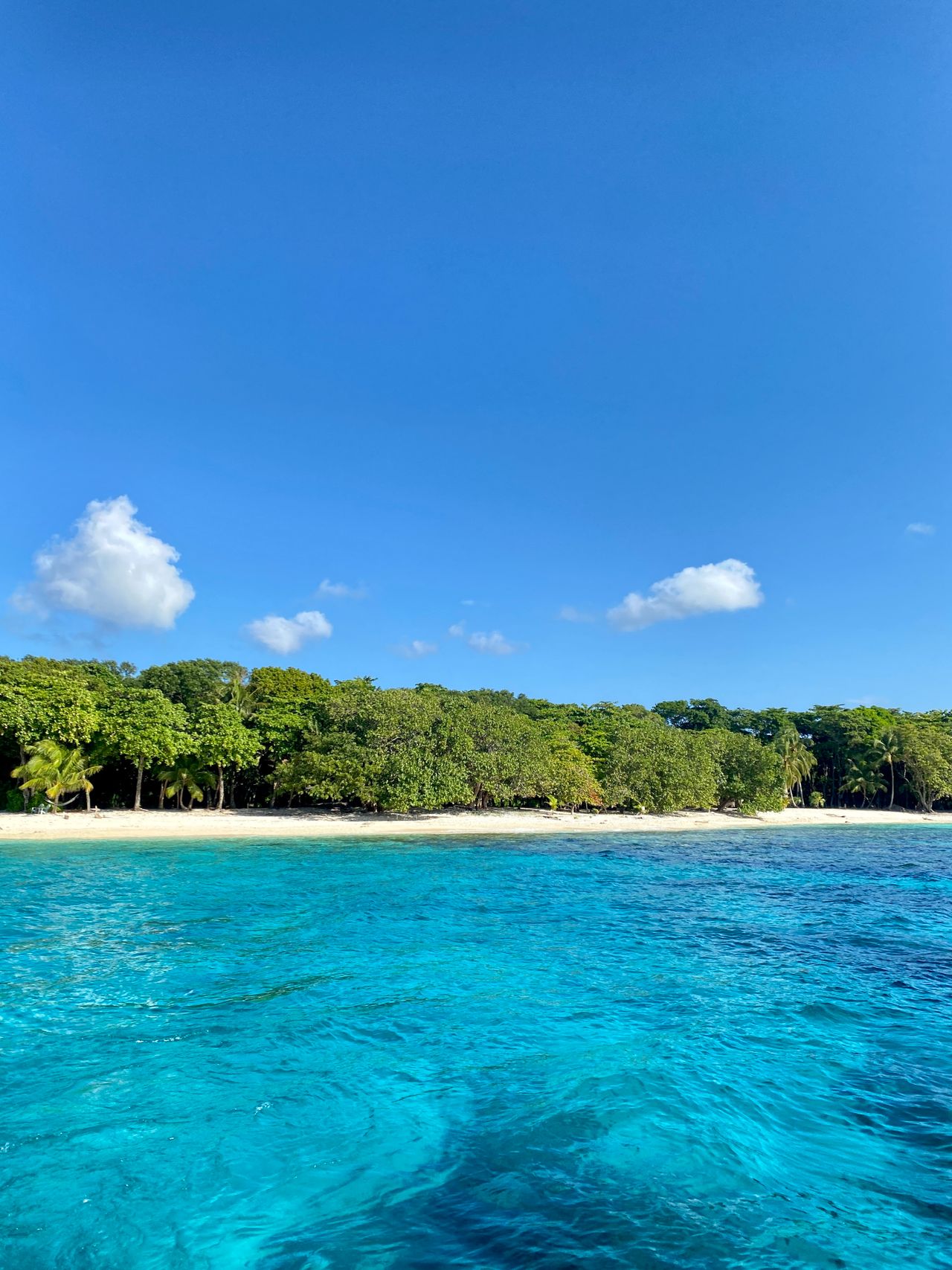 La barrera de coral de Roatán