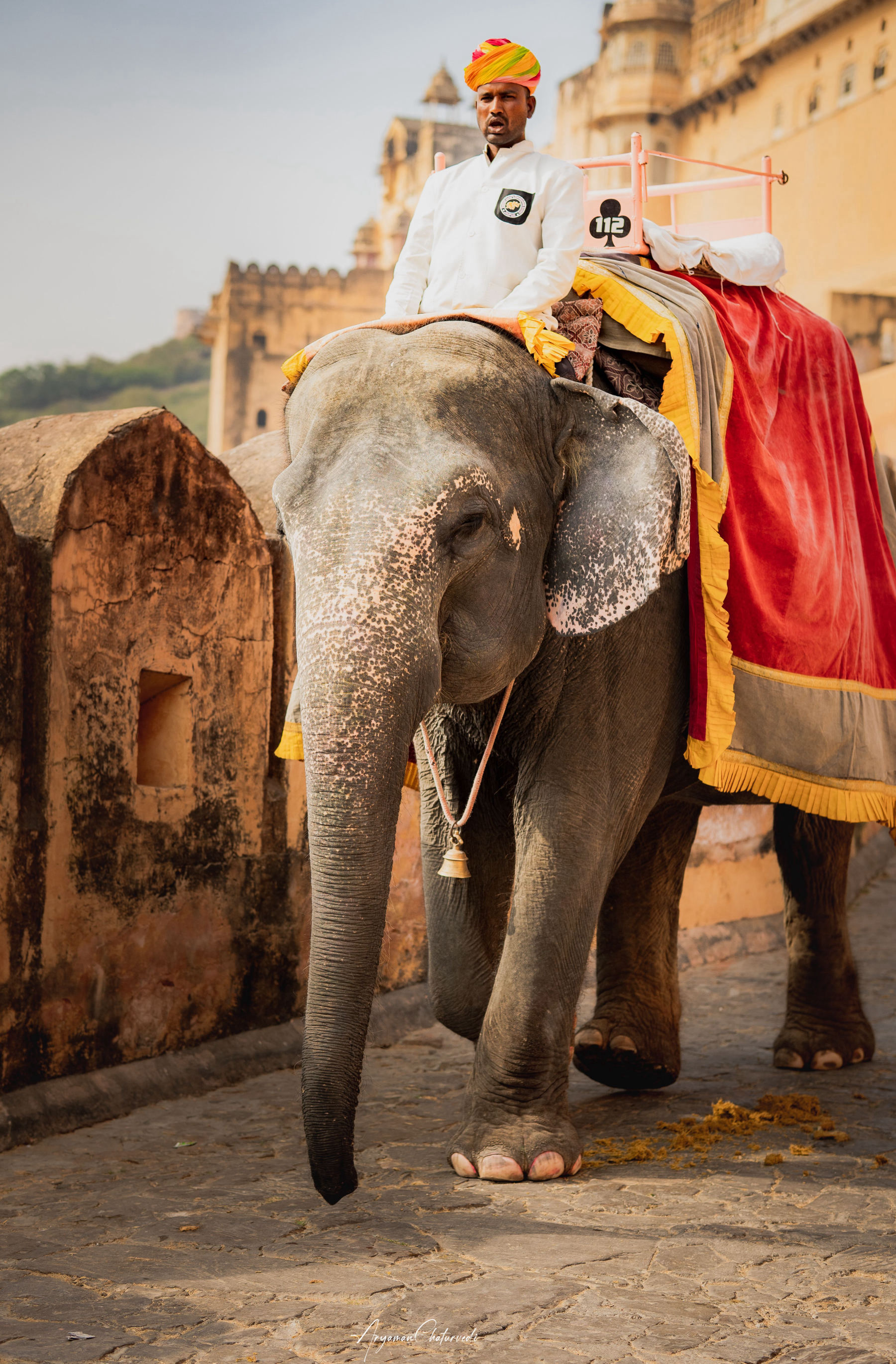 Amber Fort by elephant