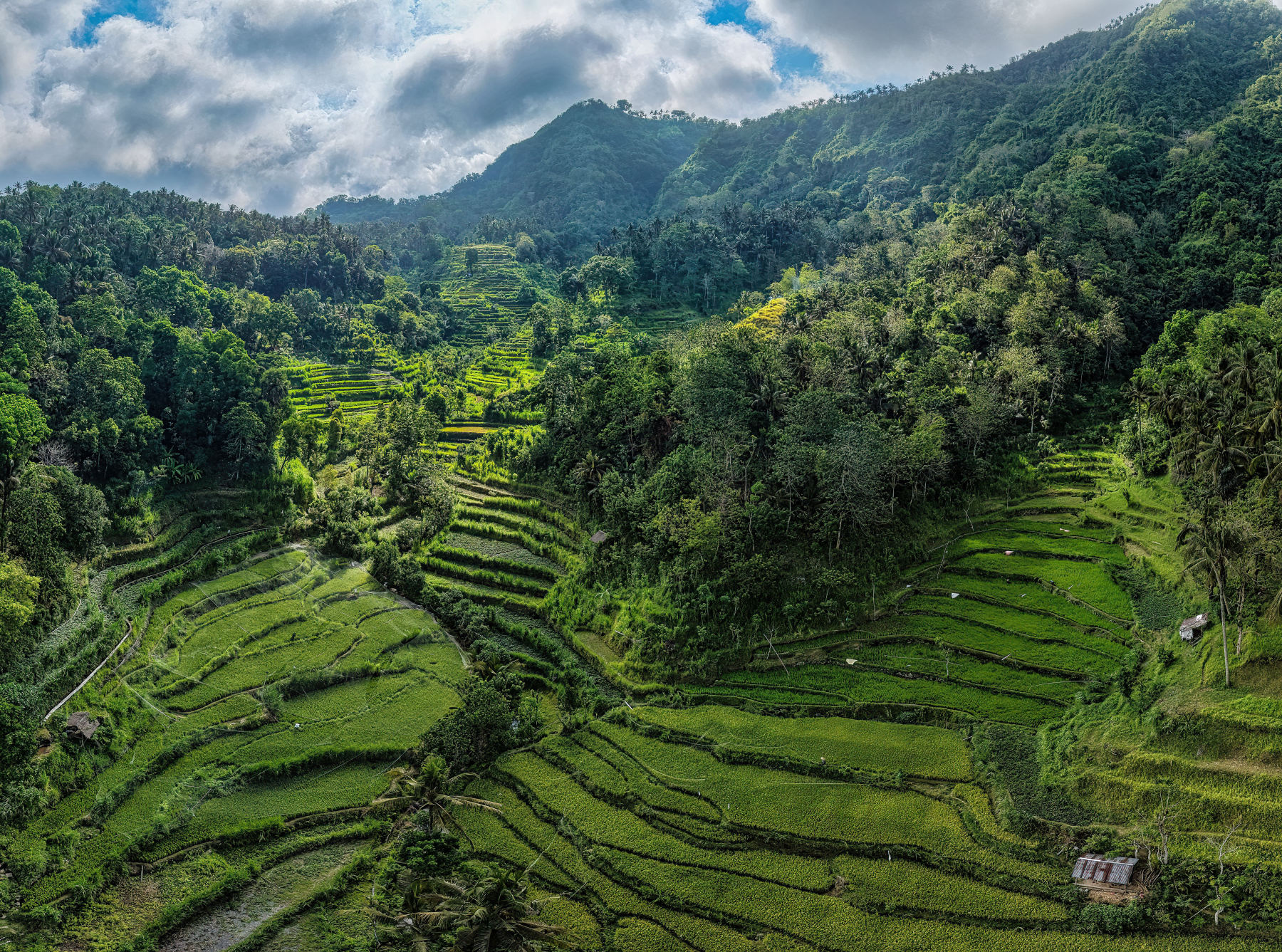 Ubud