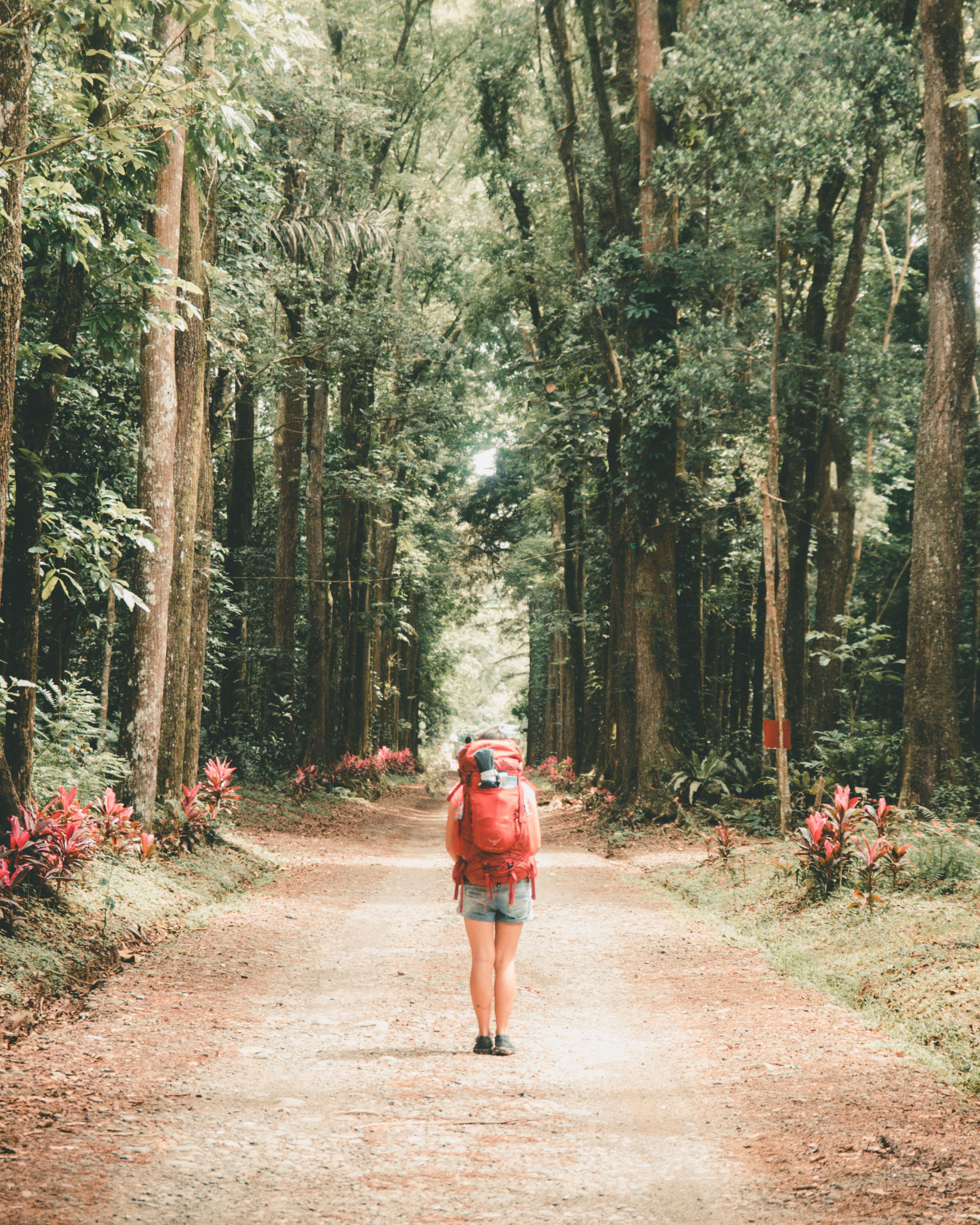 What only a guide on the ground knows