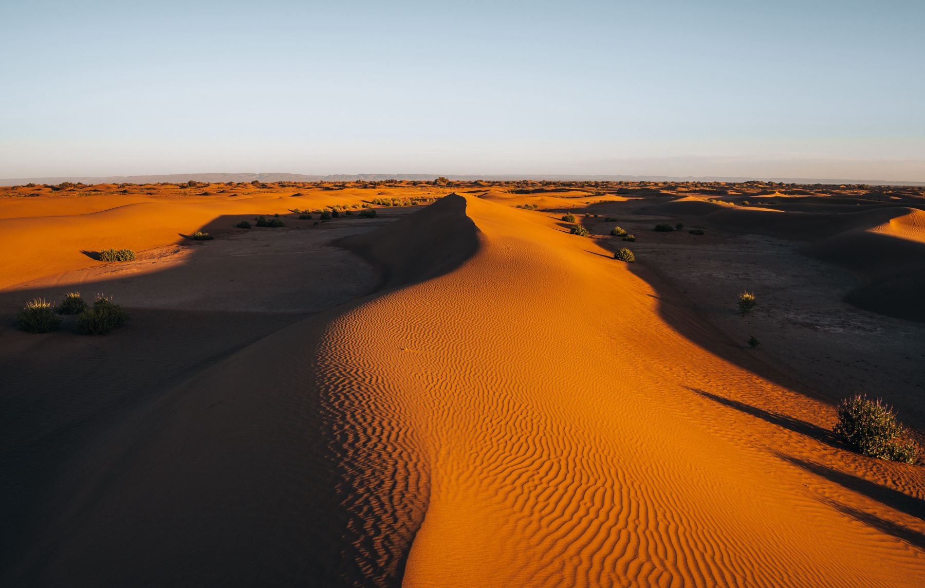 Une nuit dans le Sahara