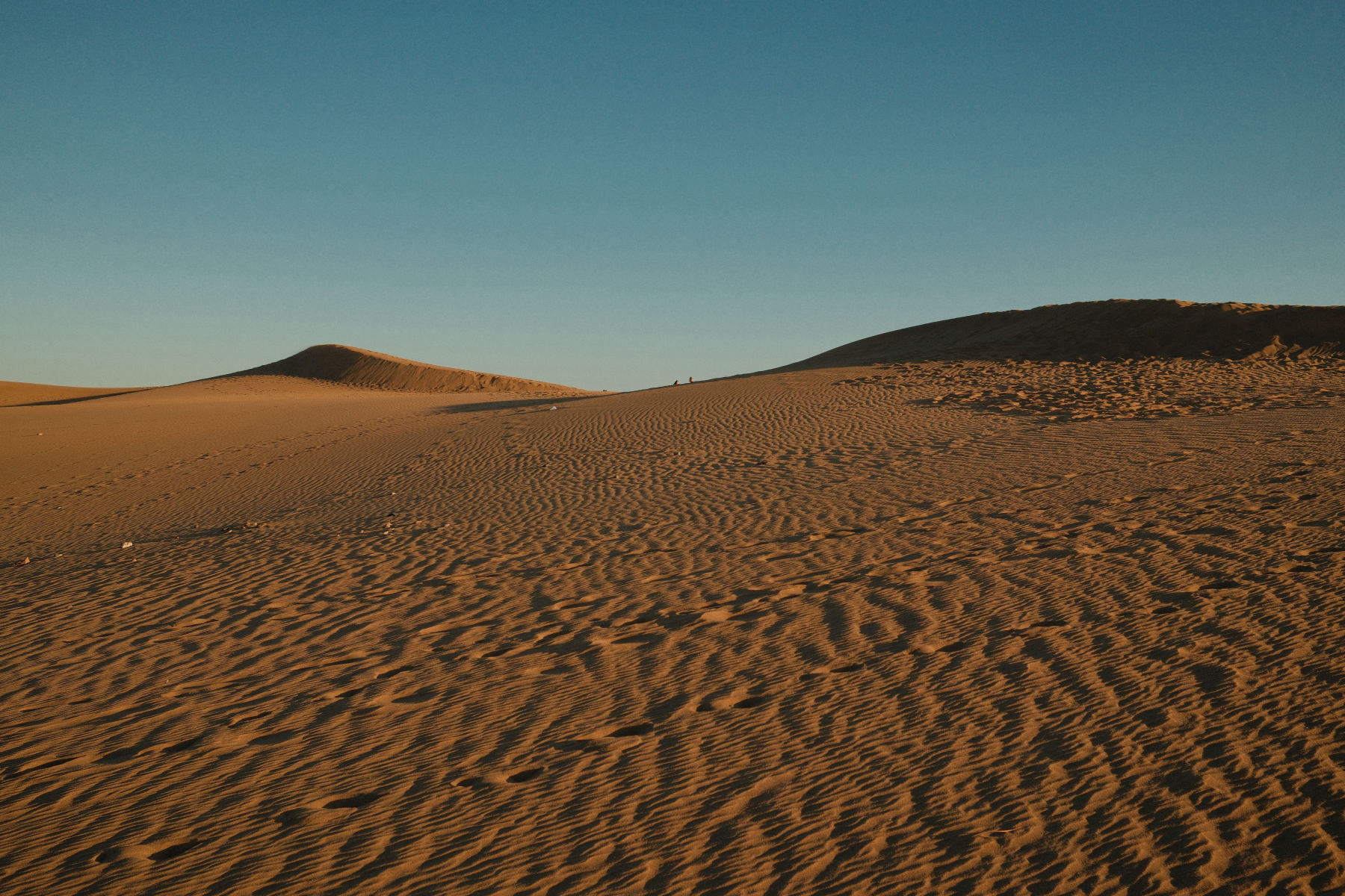 Les dunes chantantes de Khongoryn Els
