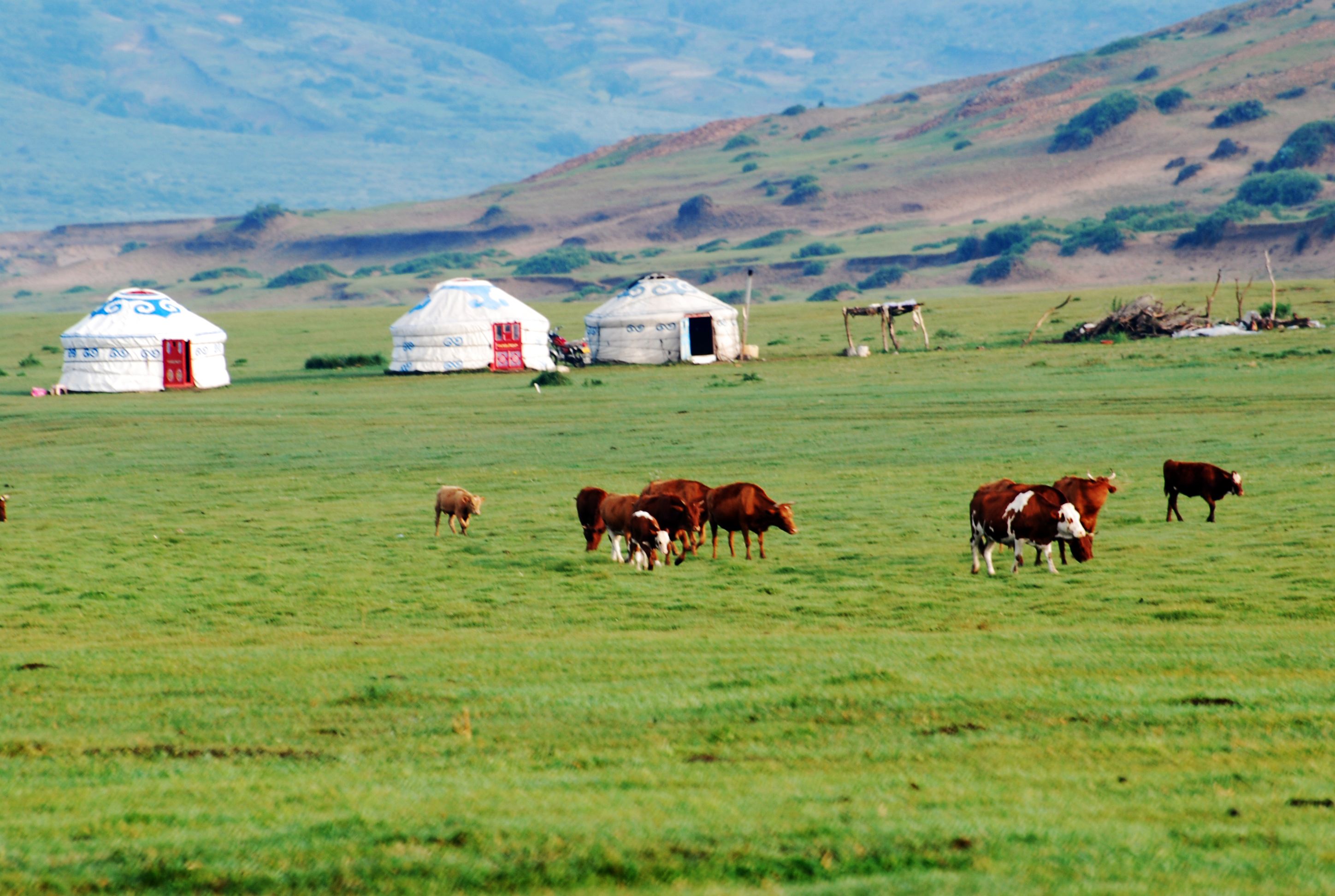 Une nuit sous yourte chez une famille nomade