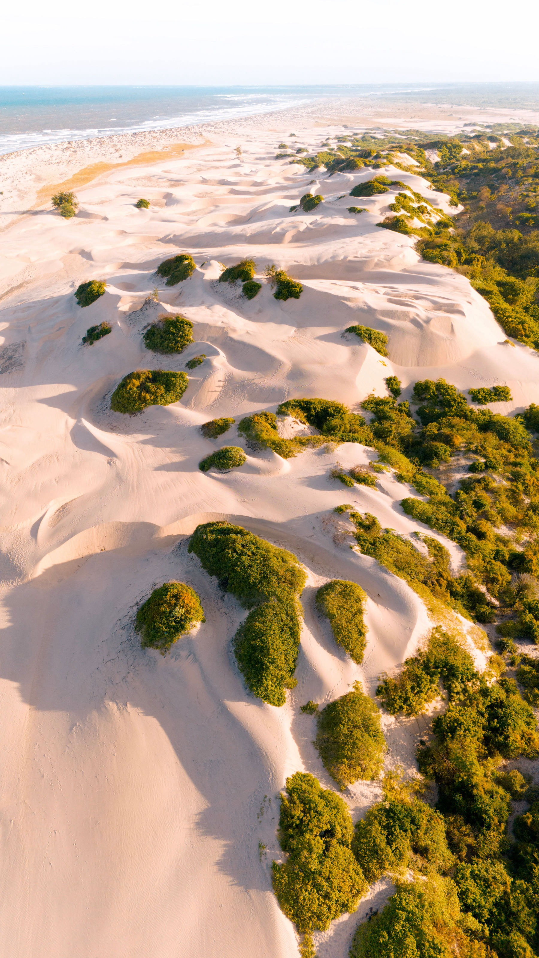 Las dunas gigantes de Benguerra