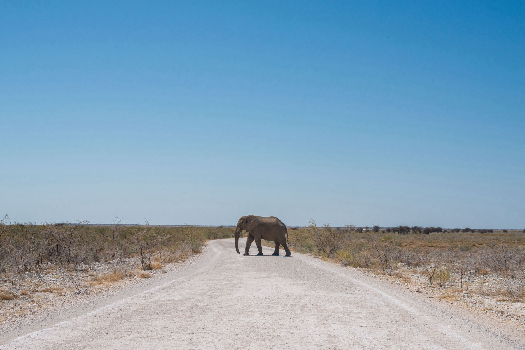Damaraland