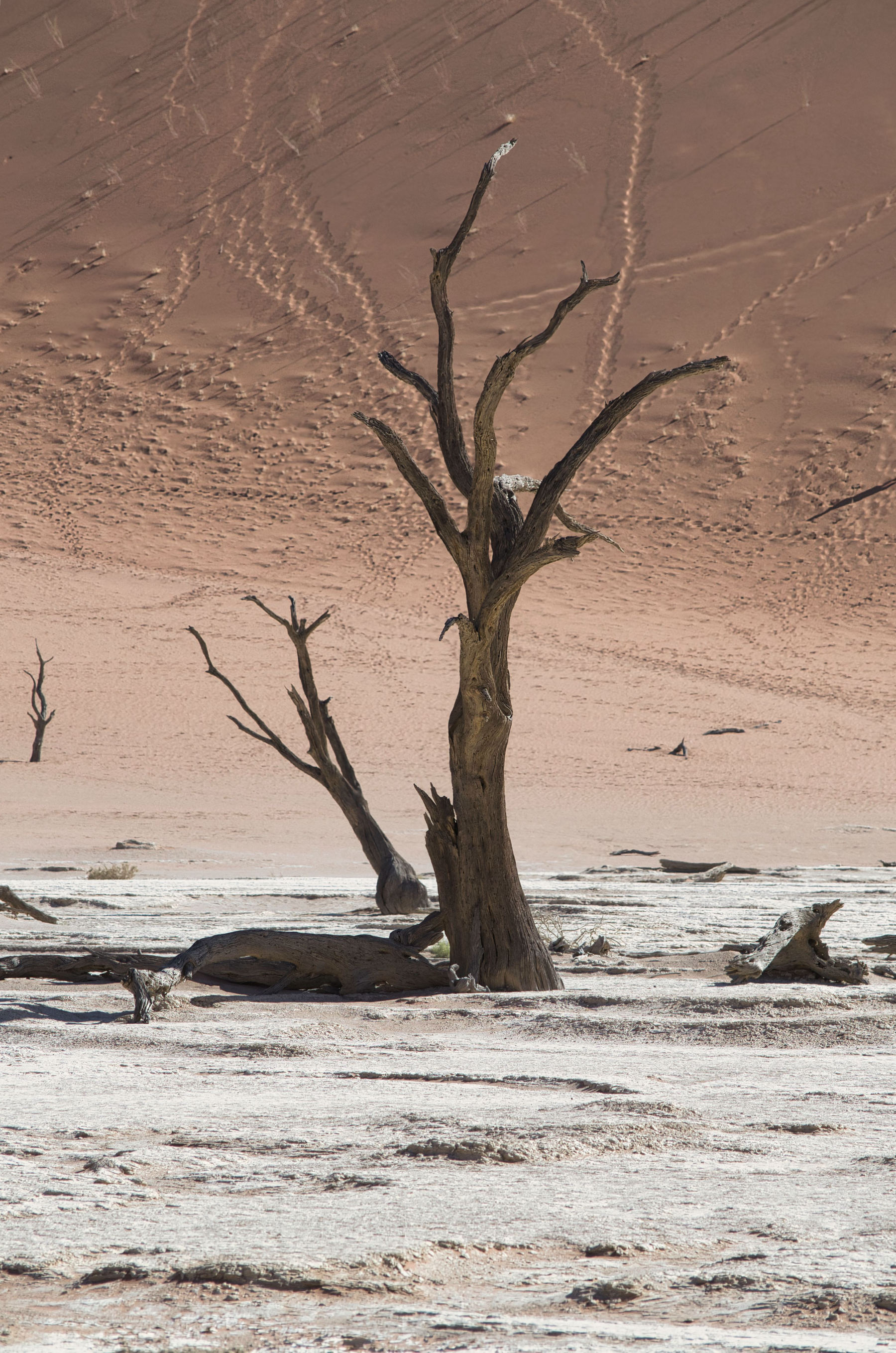 Sossusvlei