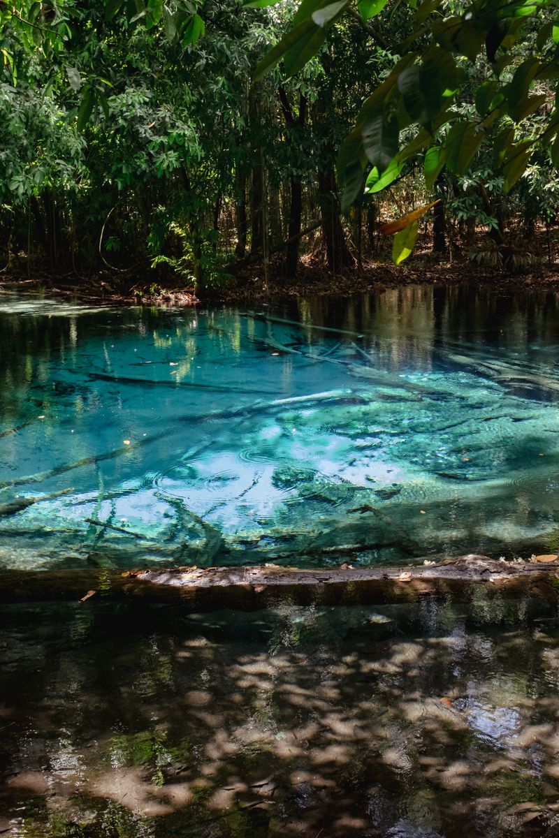 Ojo de Agua