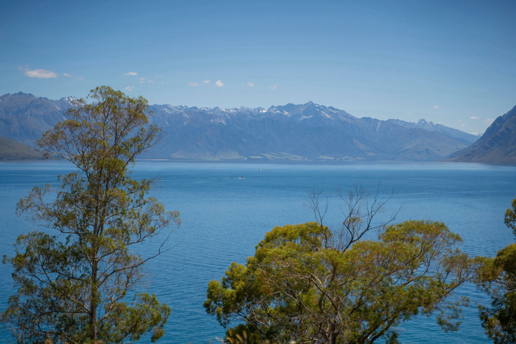 Wanaka et le Mont Cook