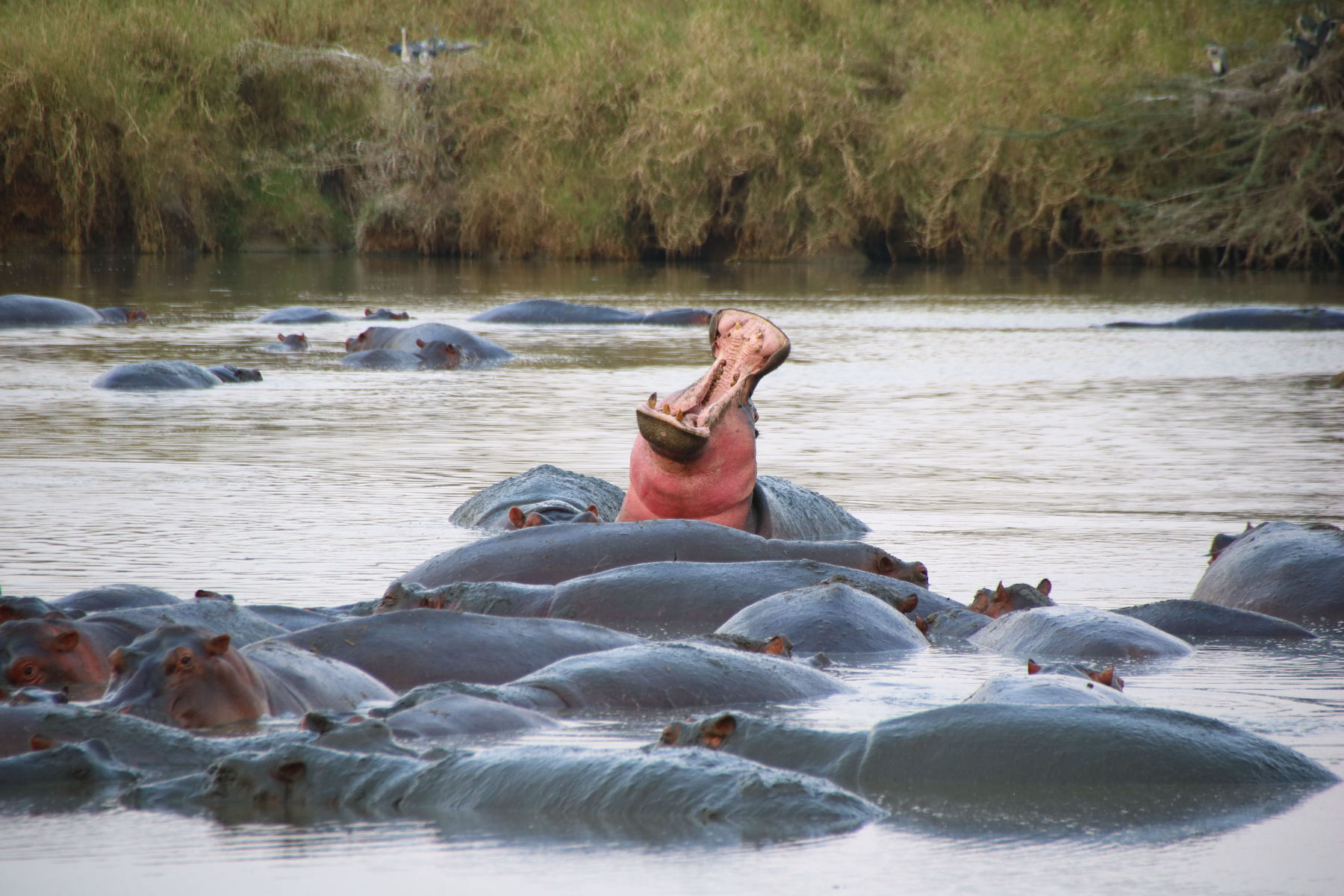 El canal de Kazinga