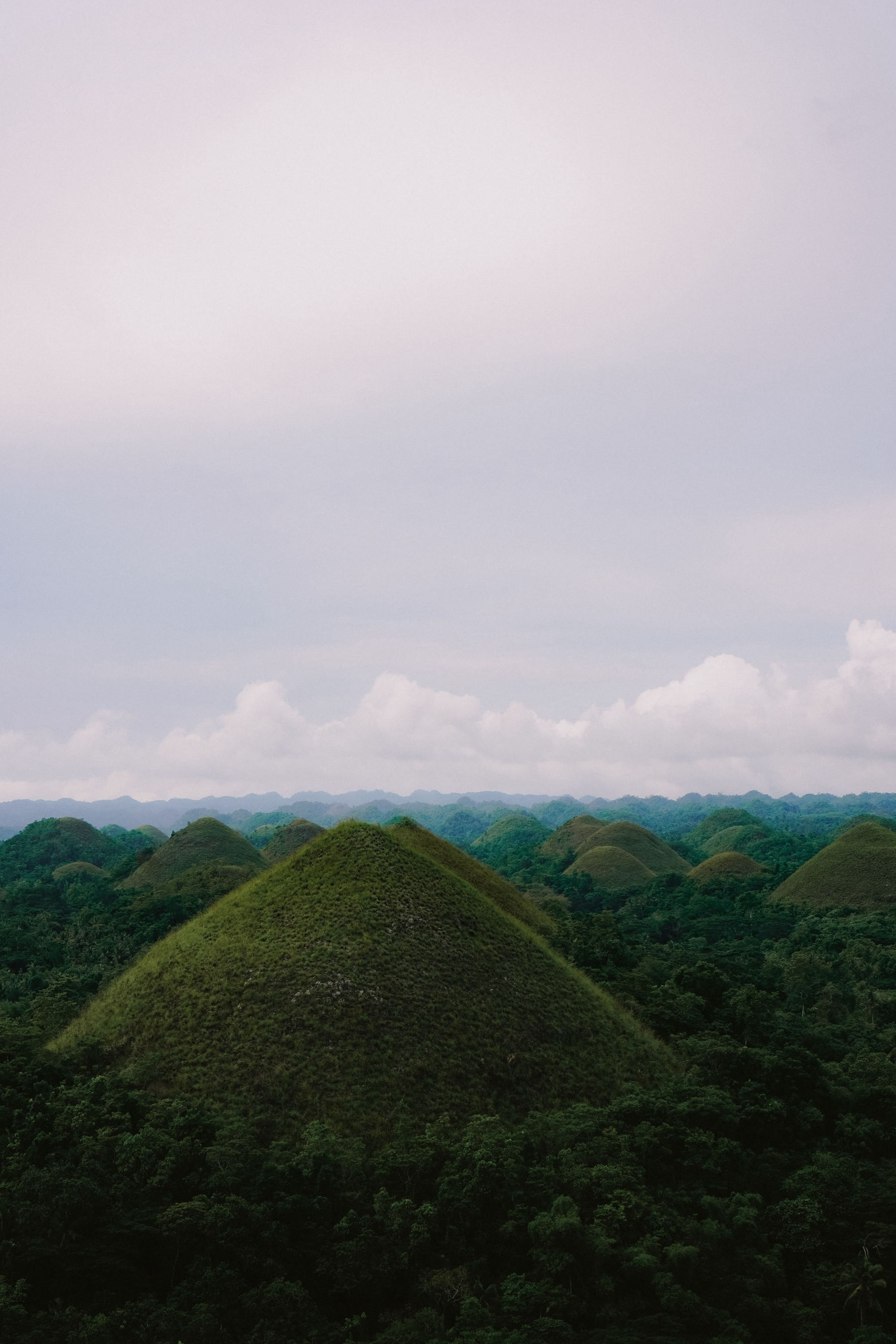 Bohol