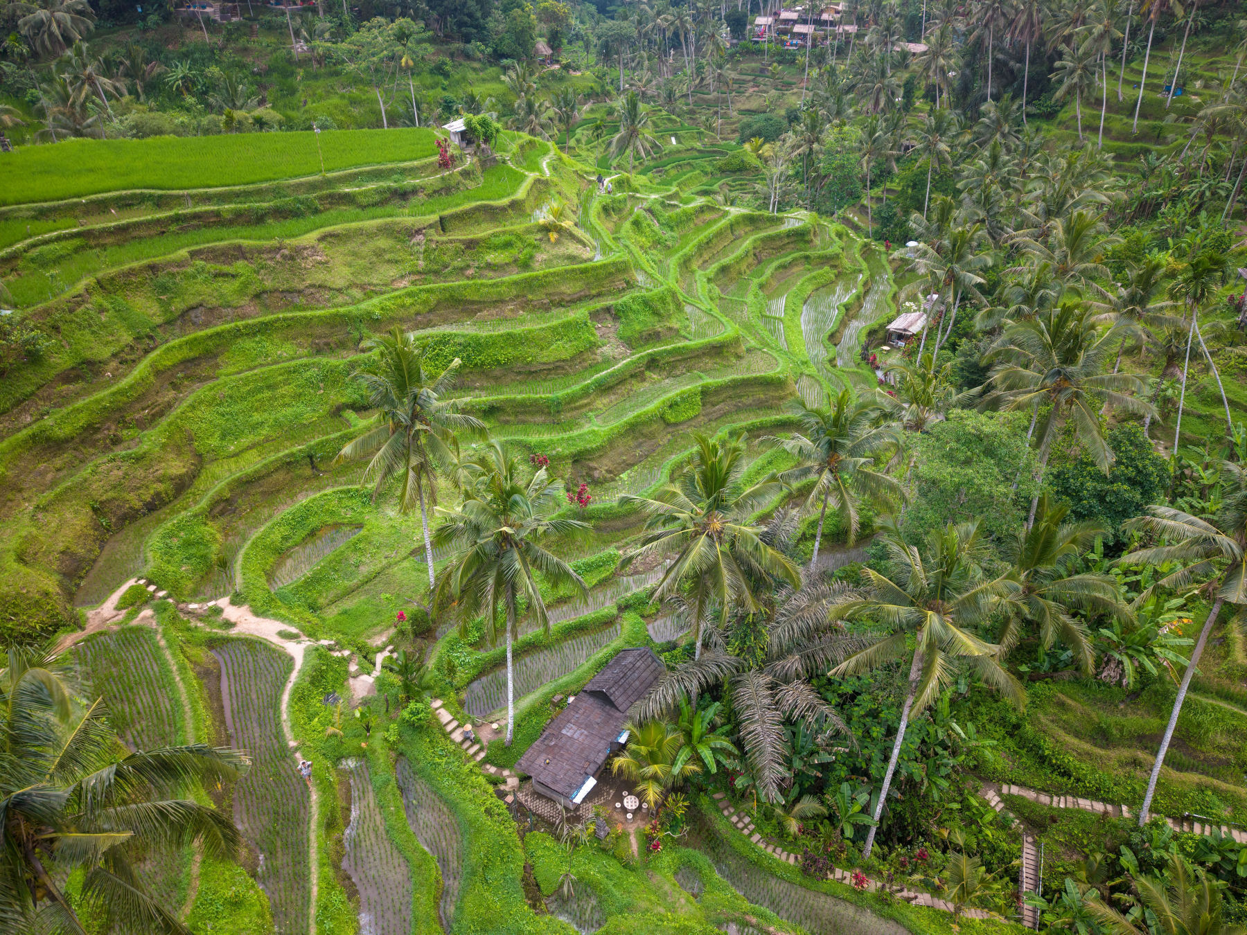 Indonesia