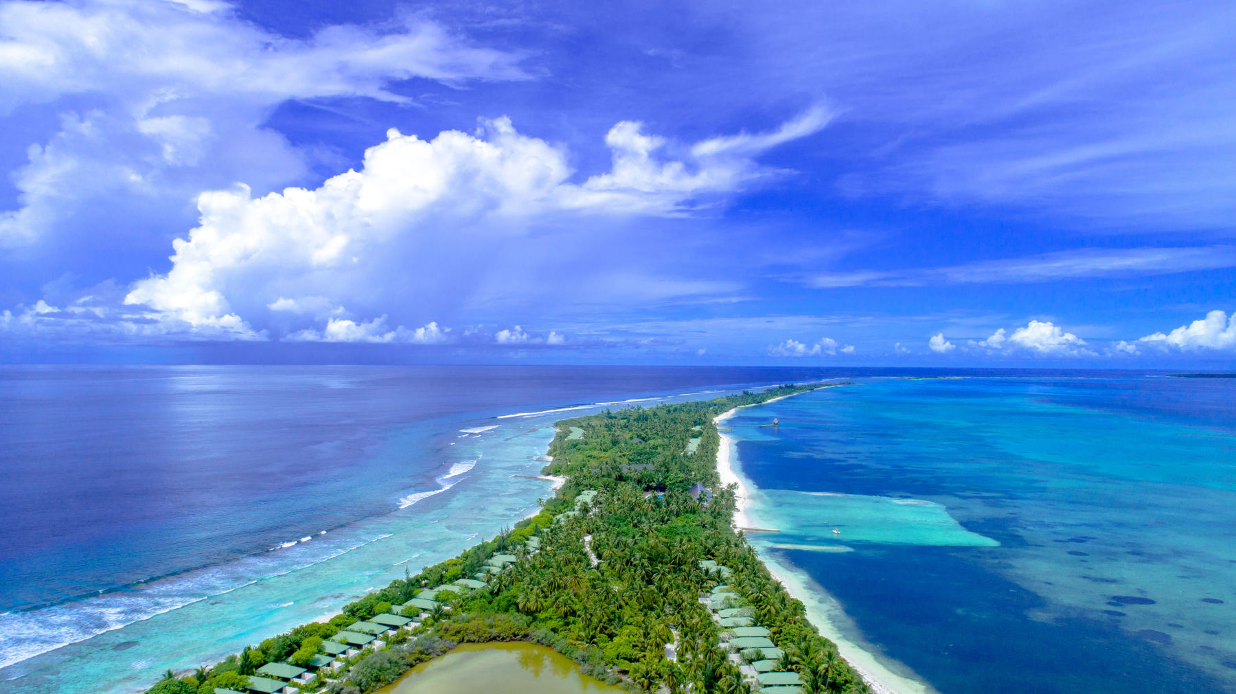 Life on the atolls