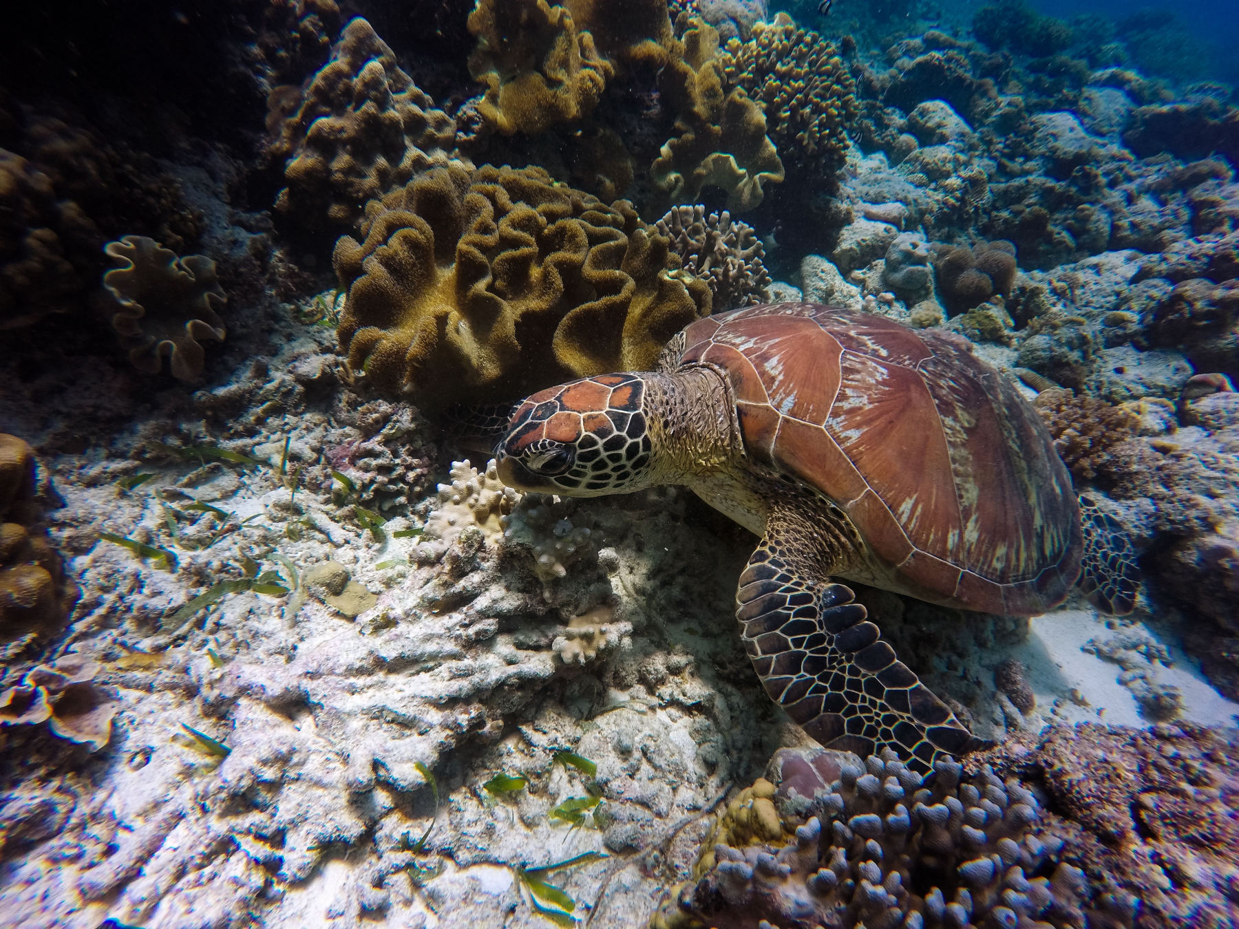 Beneath the surface, a world apart