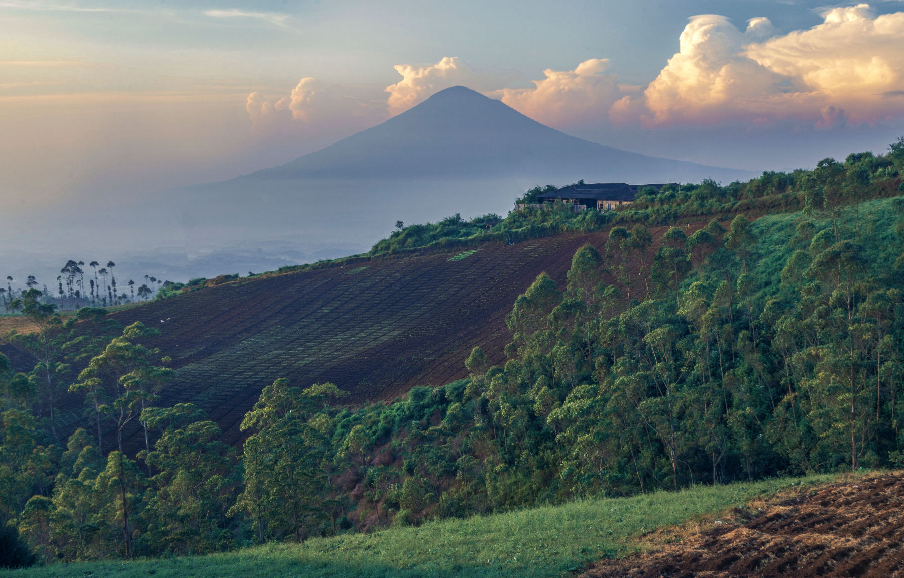El Parque de los Volcanes