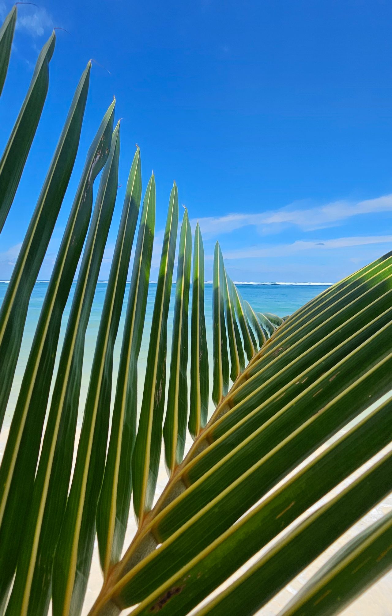 La playa de Lalomanu