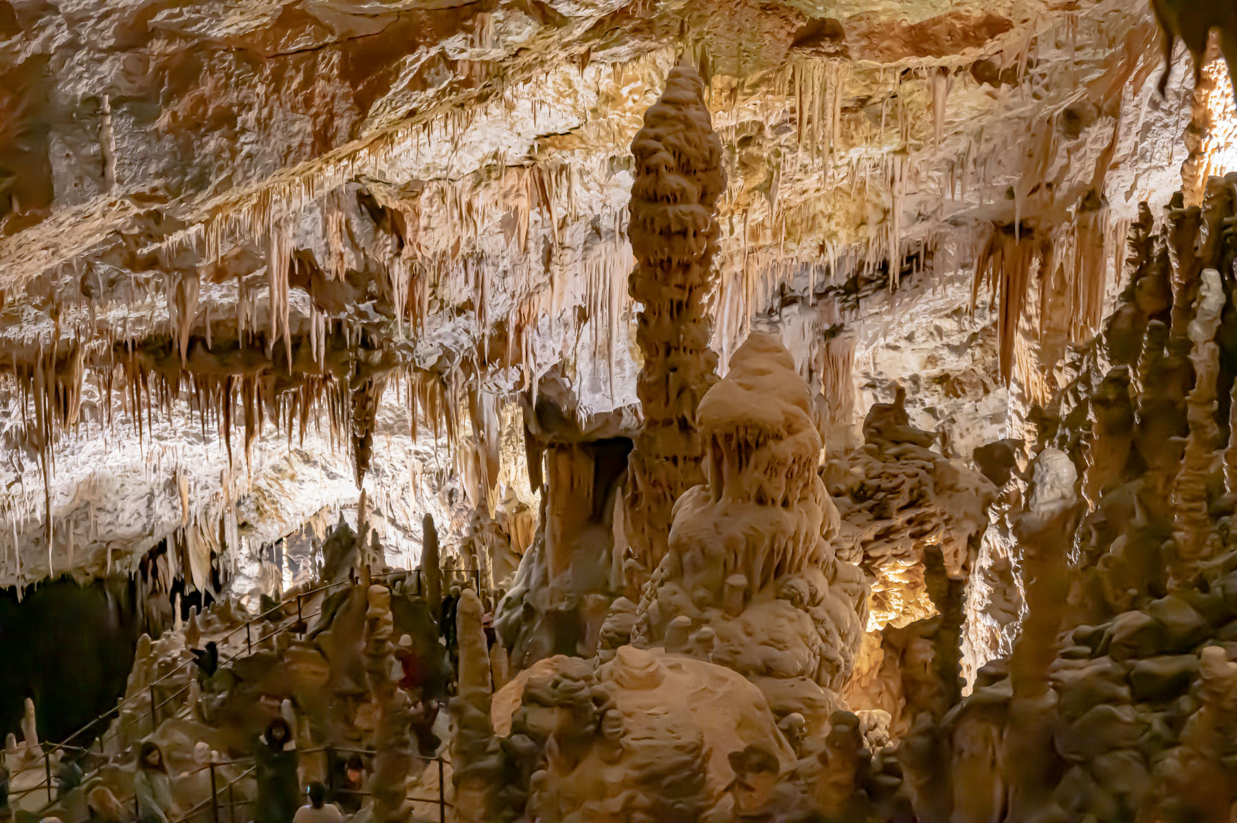 Les grottes de Postojna