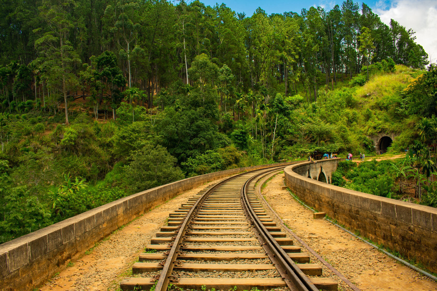 The tea hills train