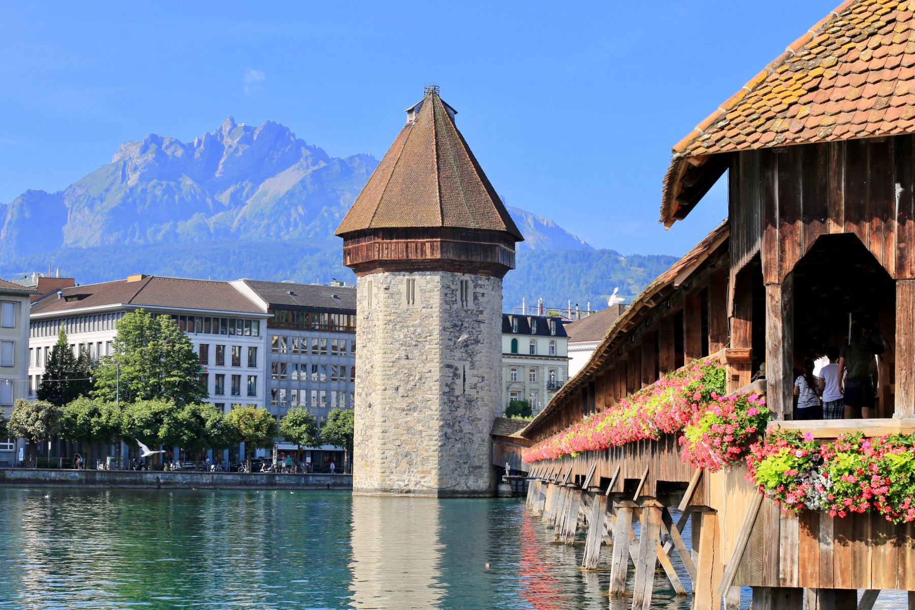 Lucerna