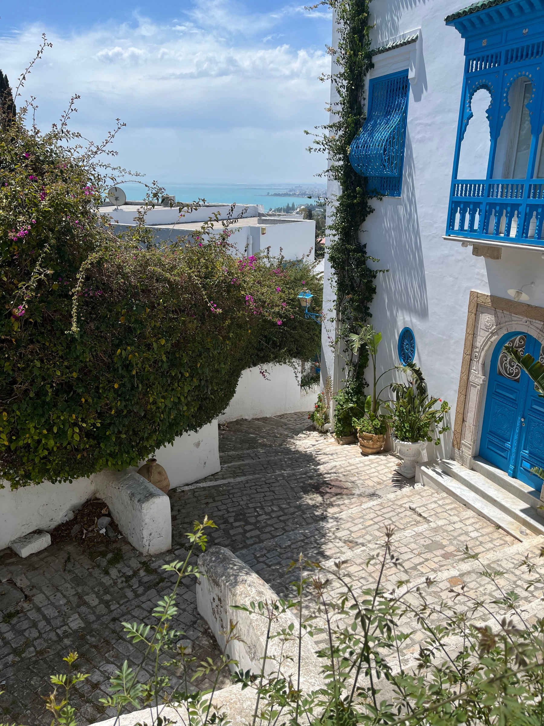 El pueblo azul y blanco de Sidi Bou Said