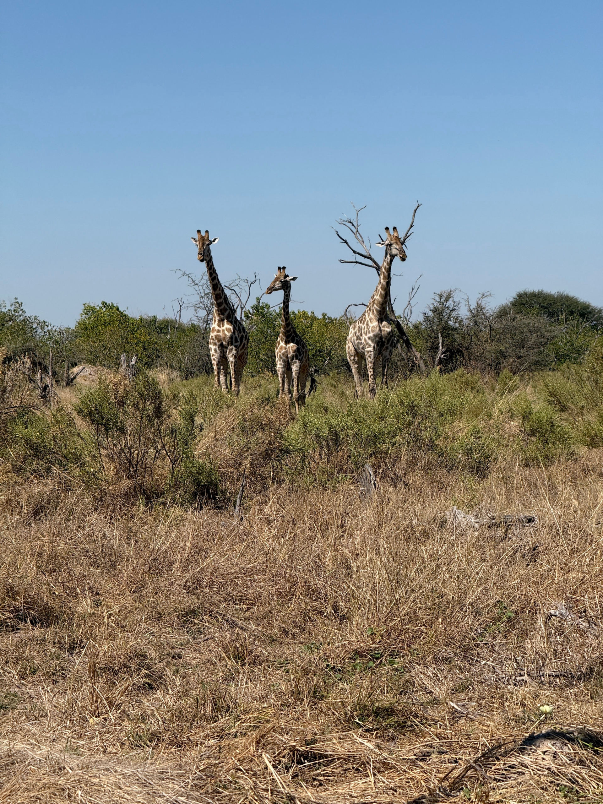 Botswana