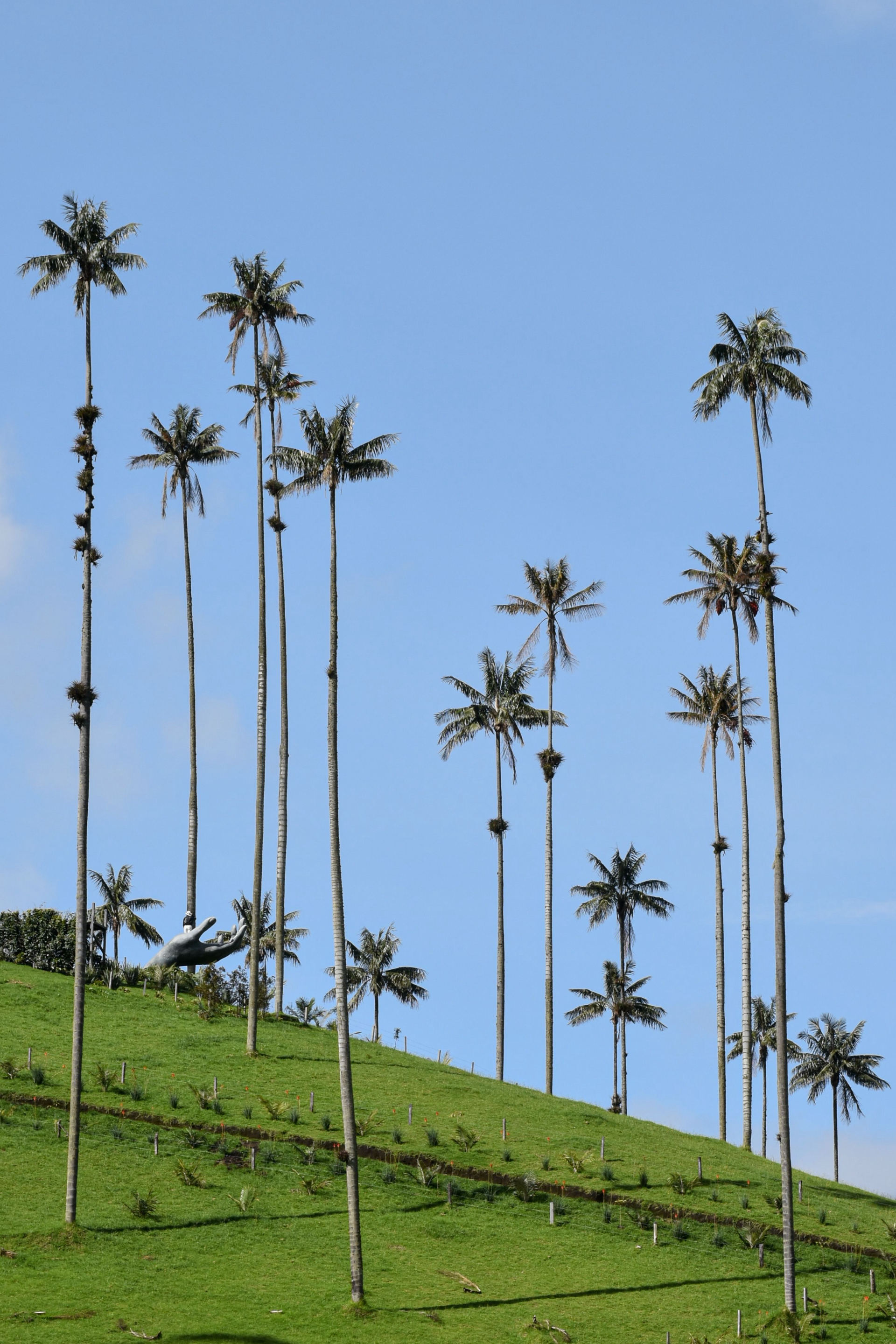 Colombie
