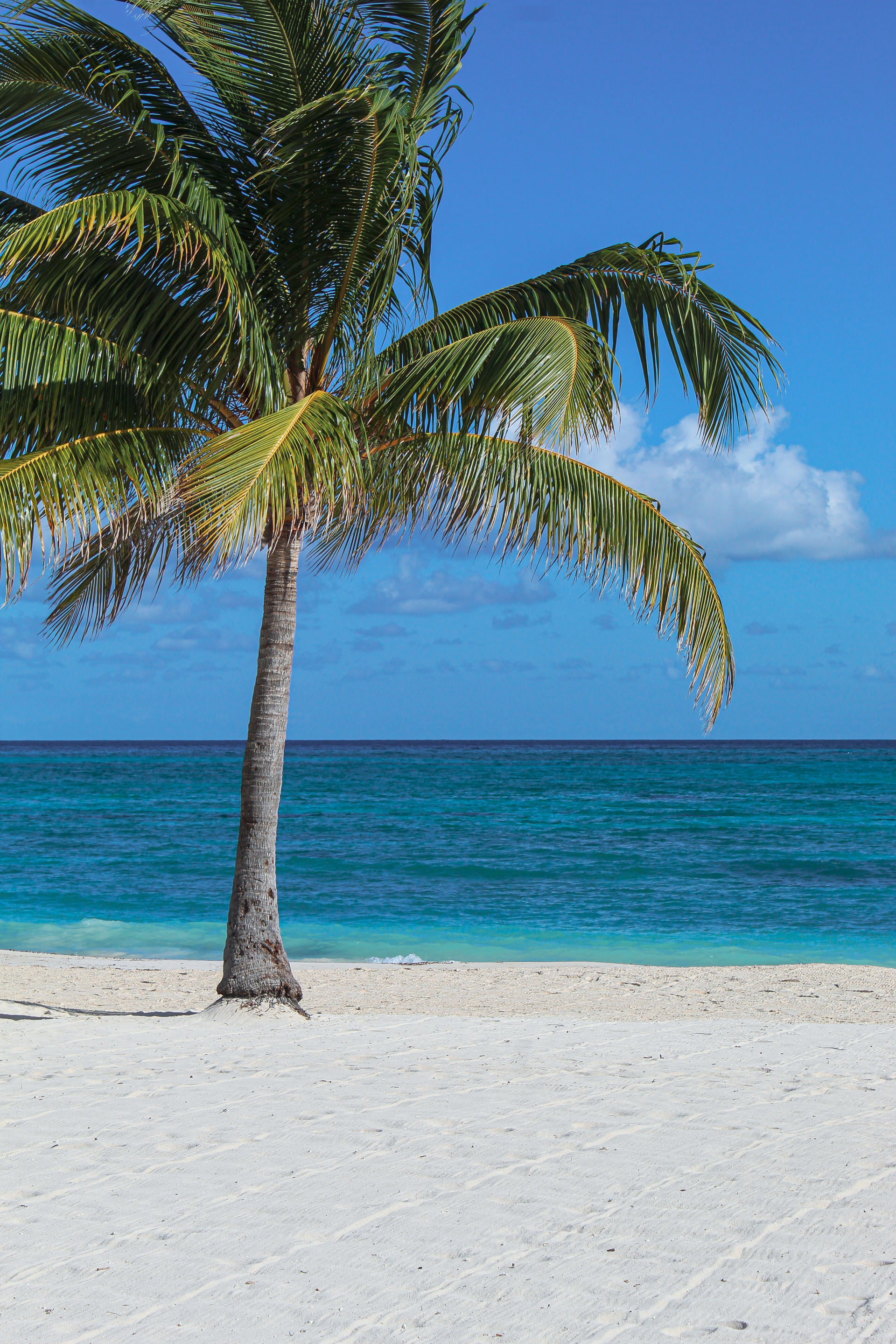 Jamaica