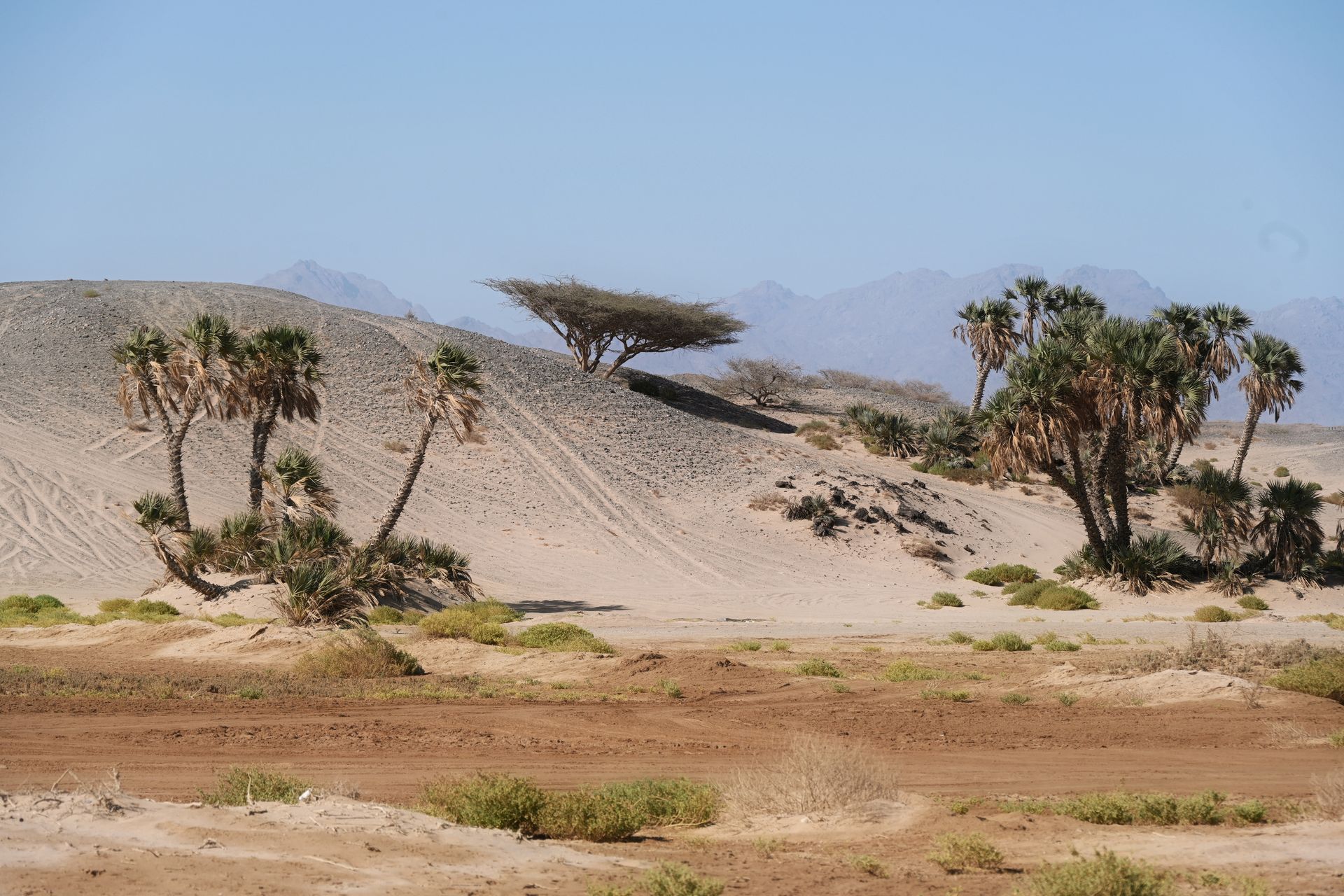 When to go to Morocco: the month-by-month guide