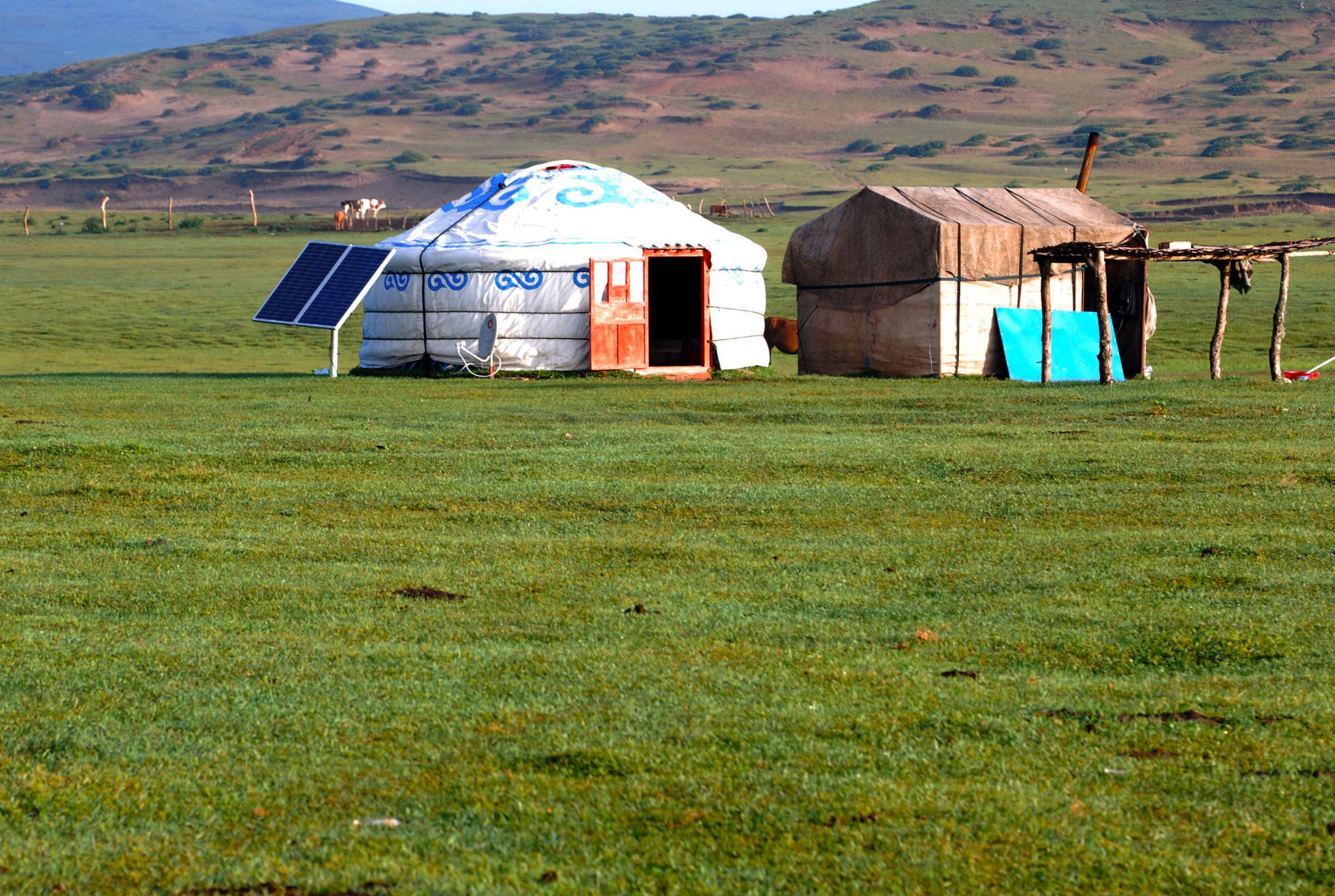 Mongolie
