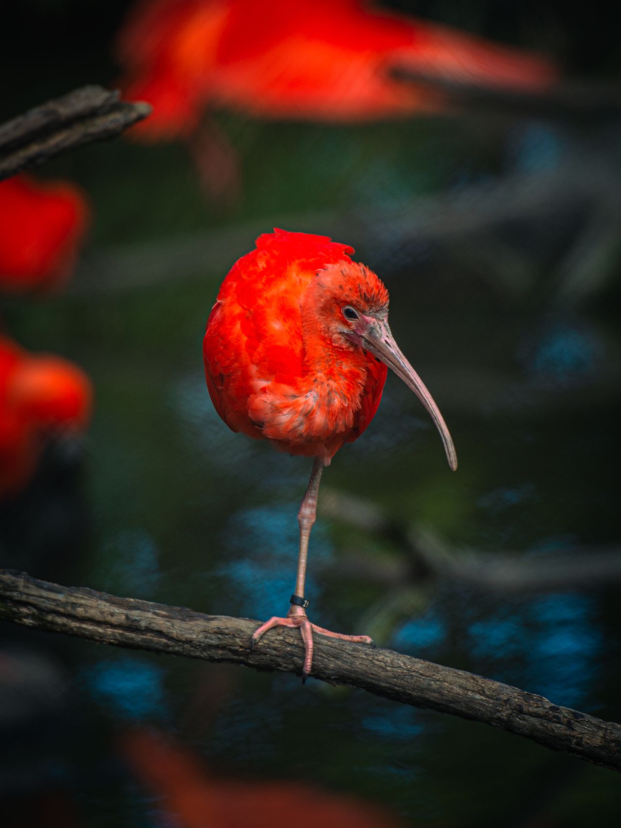 Trinidad and Tobago