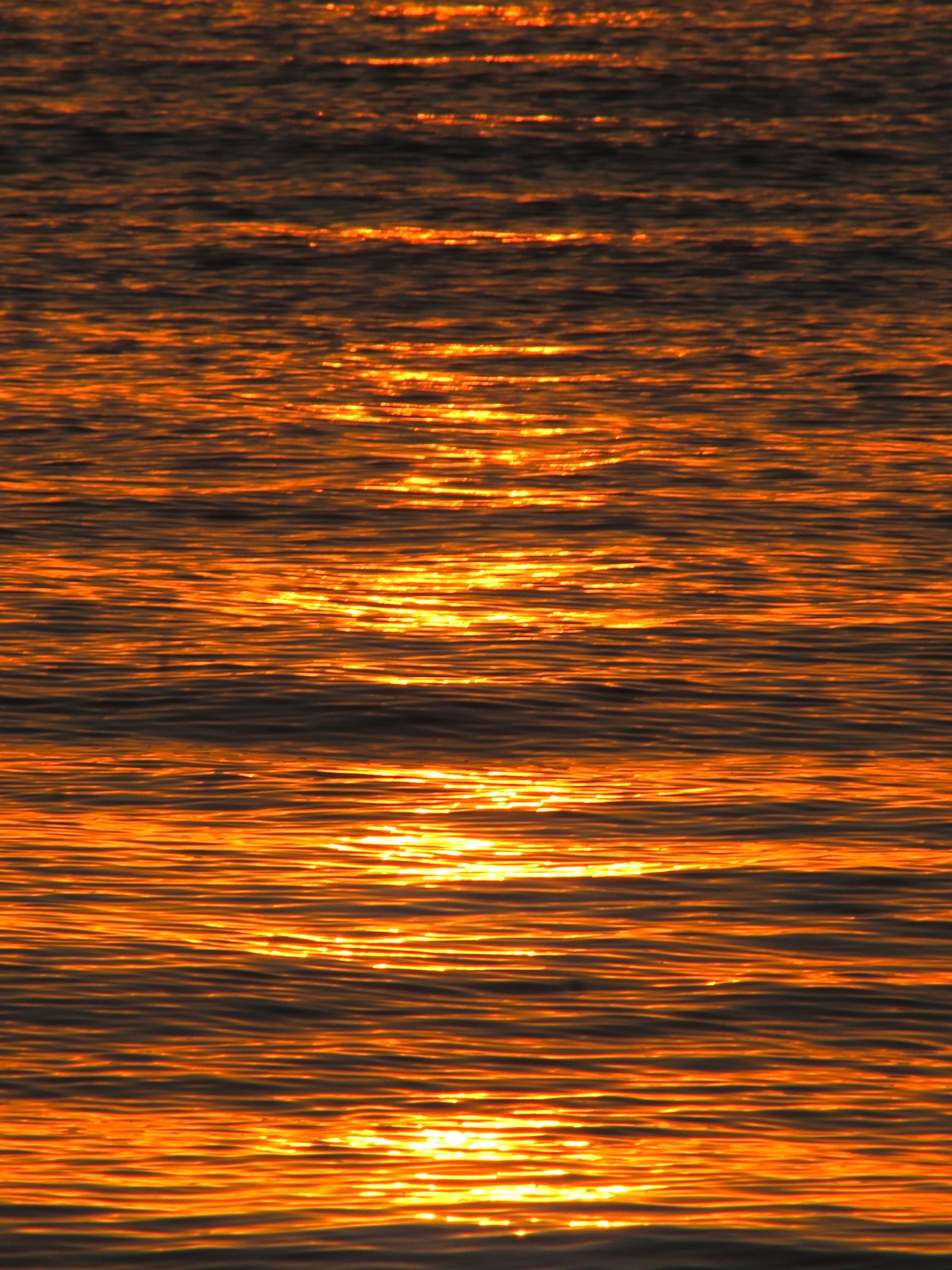 Luna de miel en agosto