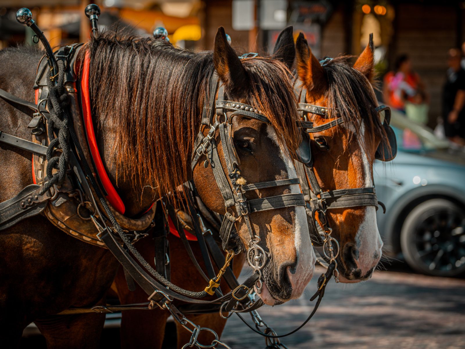 Luxury Dude Ranches