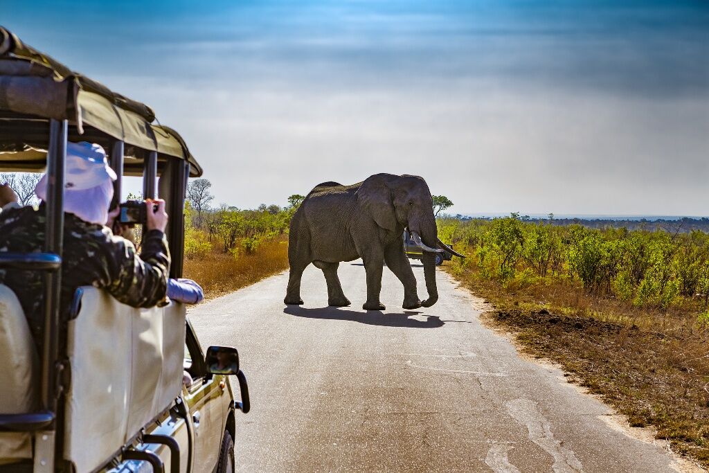 Le Kruger et la route des Panoramas — photo 2