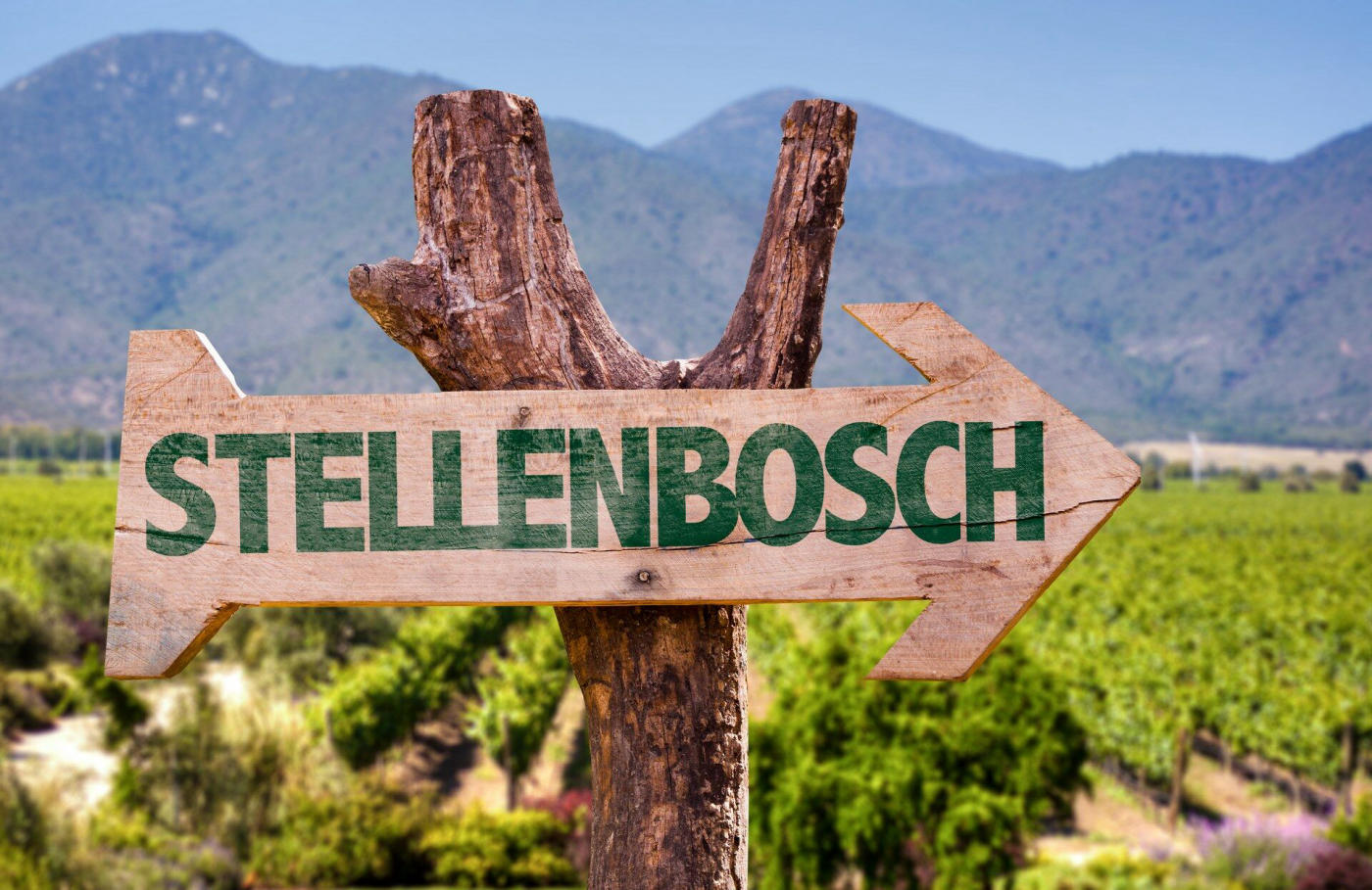 Kirstenbosch y la ruta del Vino