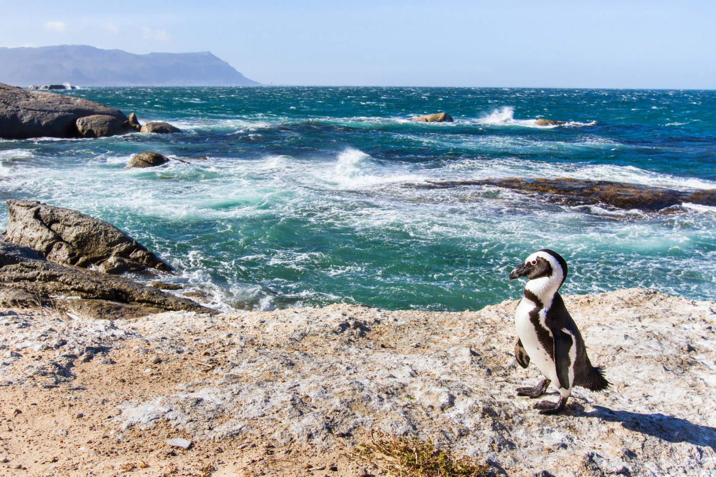 La península del Cabo
