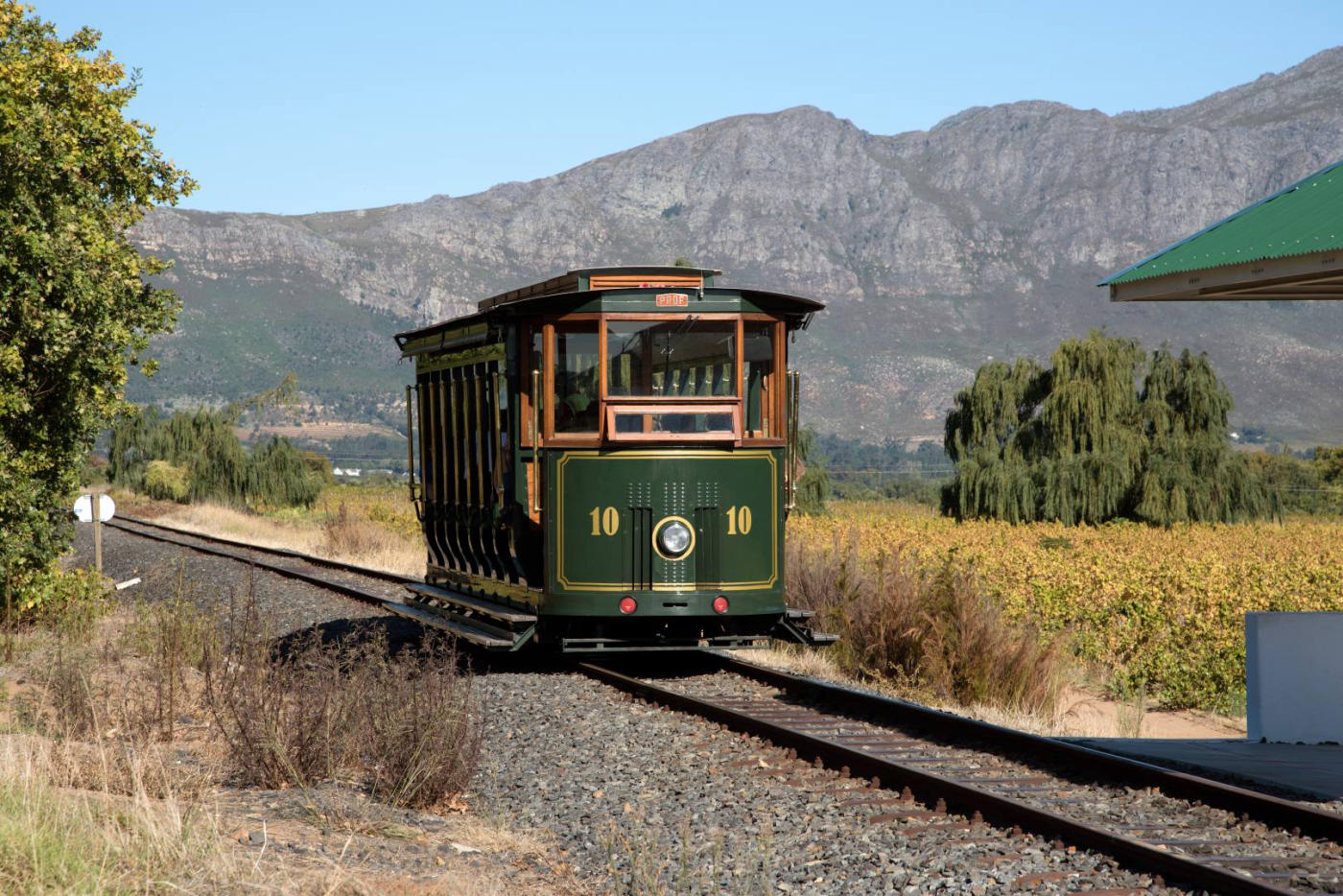 El Wine Tram y Kirstenbosch