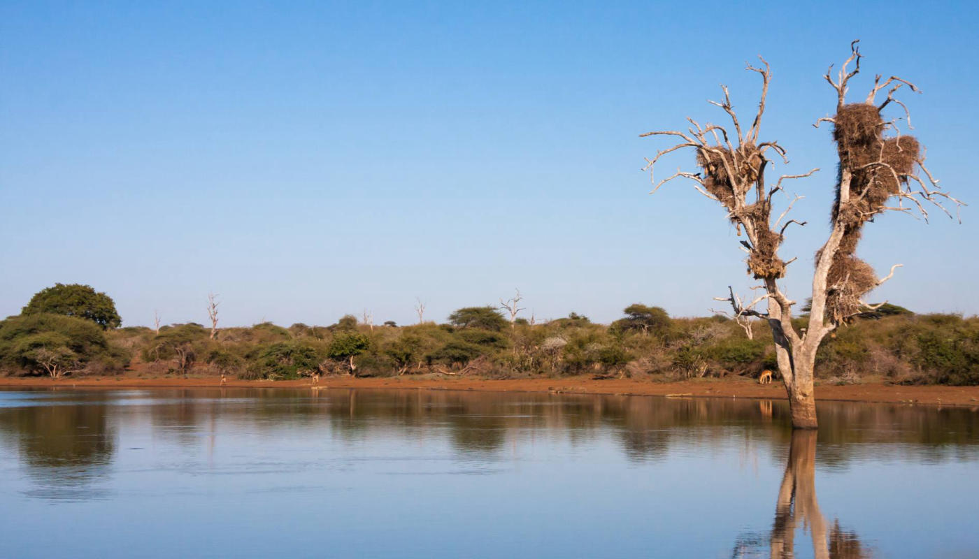 Vuelo a Victoria Falls – safari en barco en Chobe