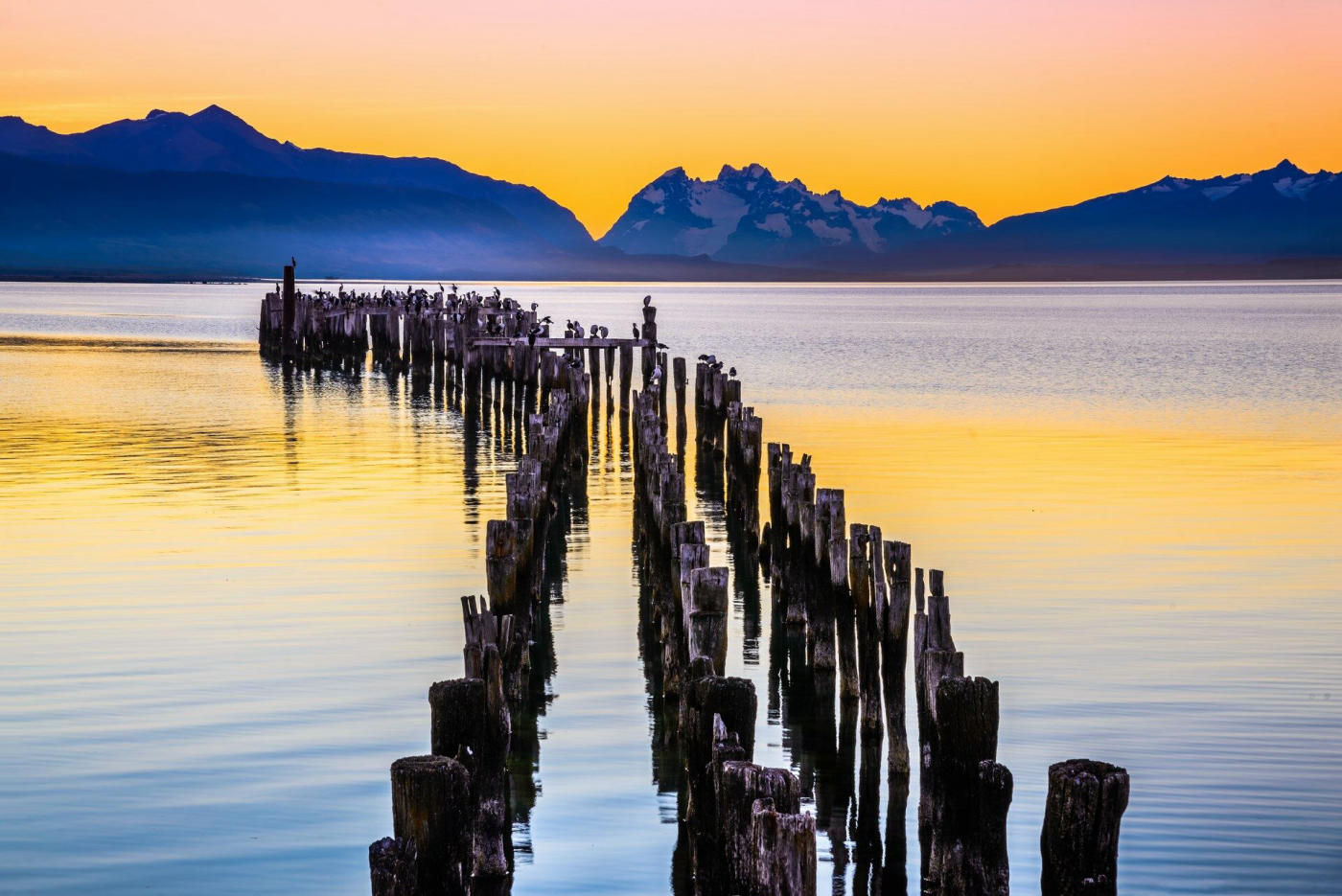 Punta Arenas – Puerto Natales