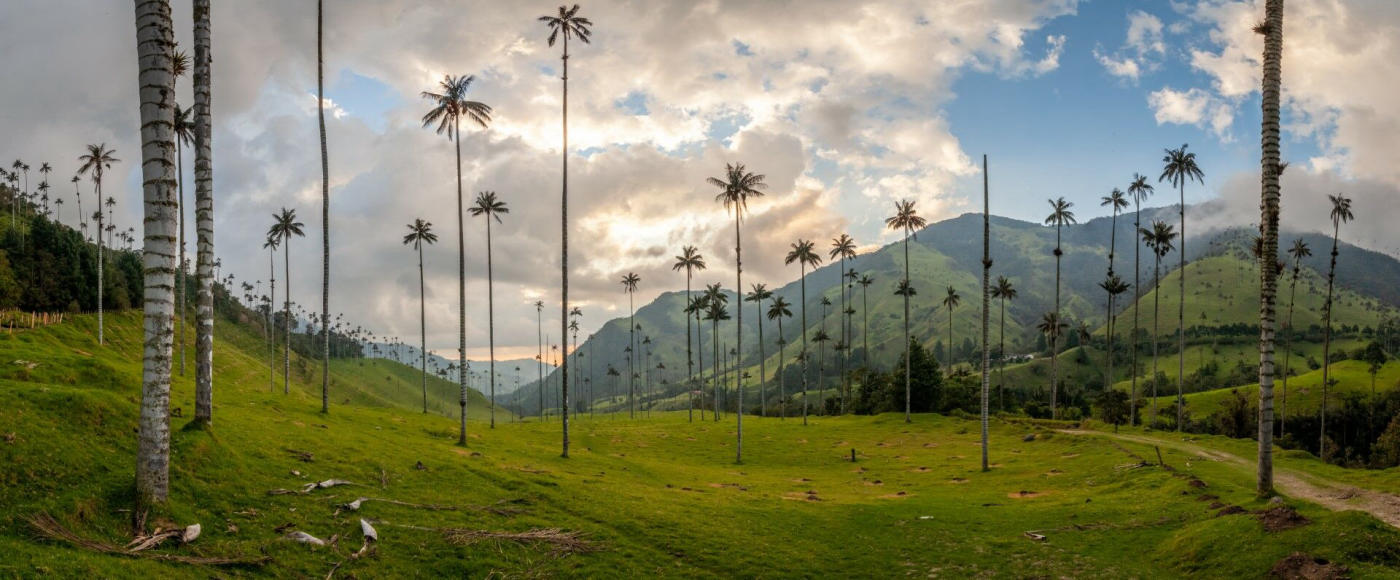 Colours of Colombia: Bogotá, the coffee region, Medellín, Guatapé and Cartagena