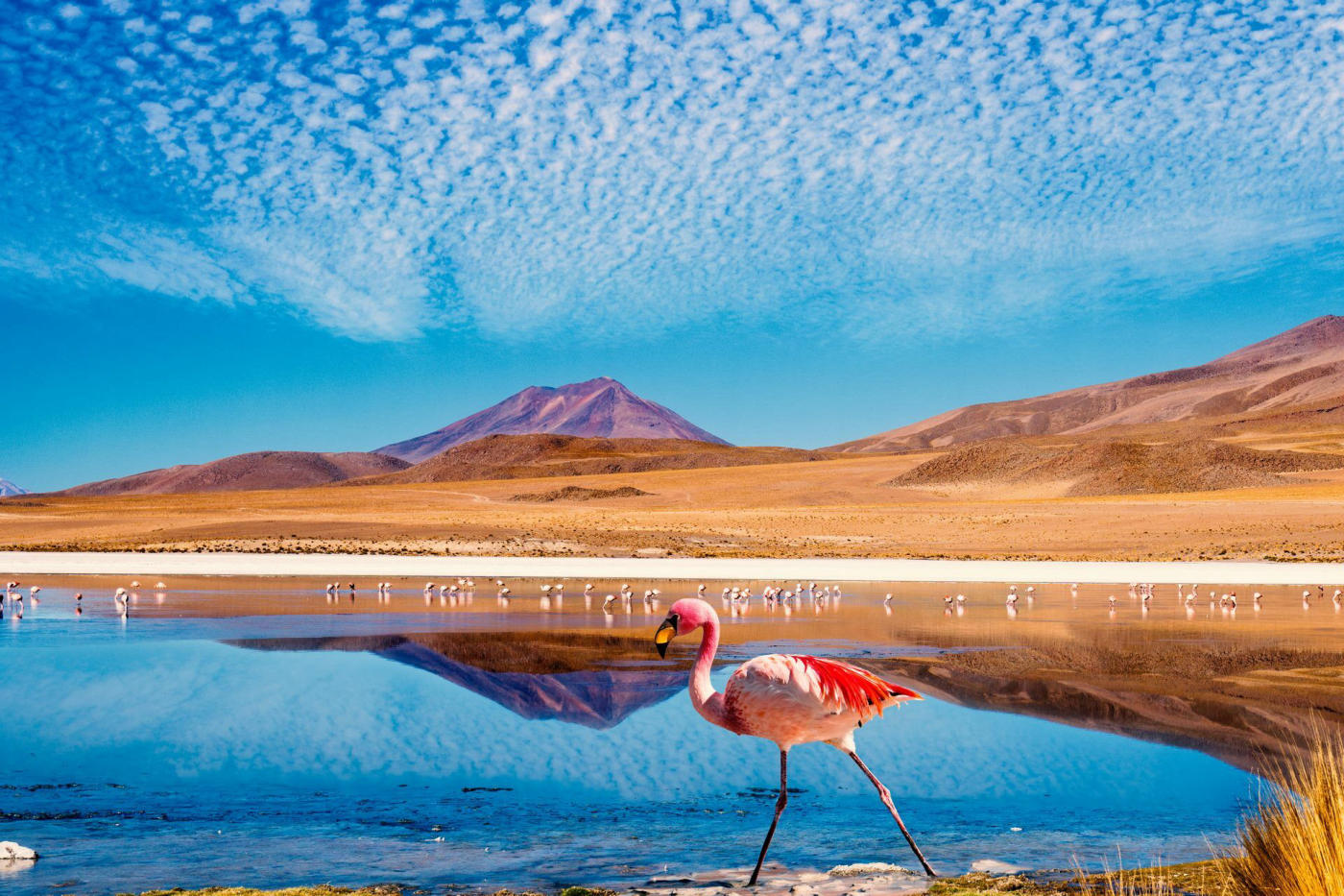 Lagoons – Ojo de Perdiz