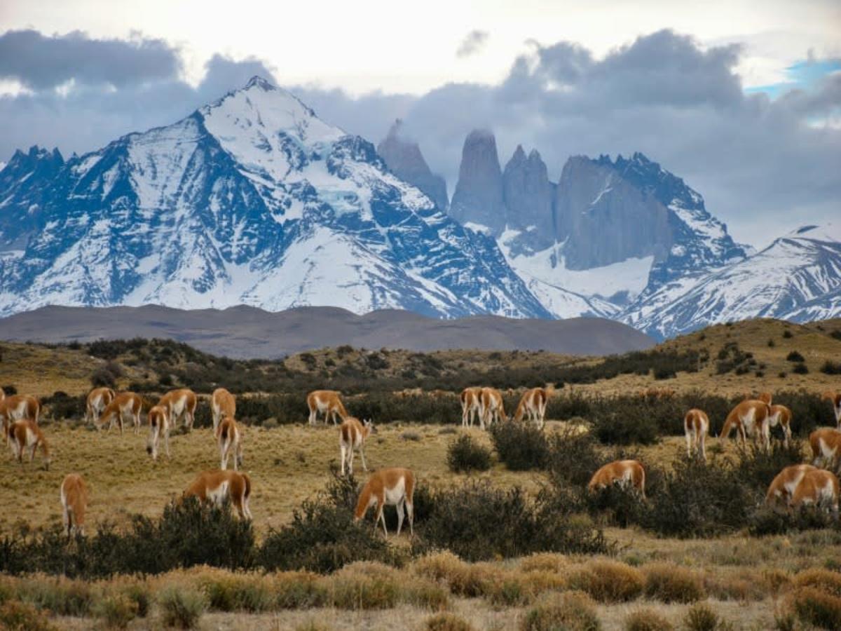 Punta Arenas – Santiago