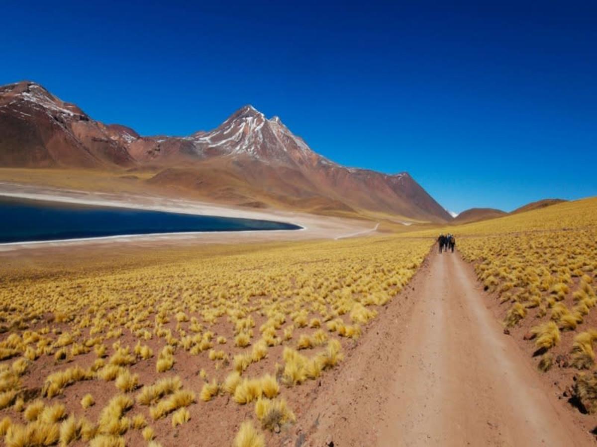 Lagunas Miscanti y Miñiques